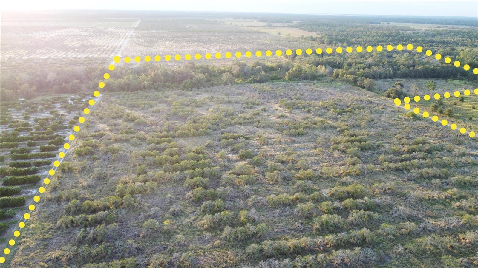 1895 Otto Polk Rd Property Photo 4
