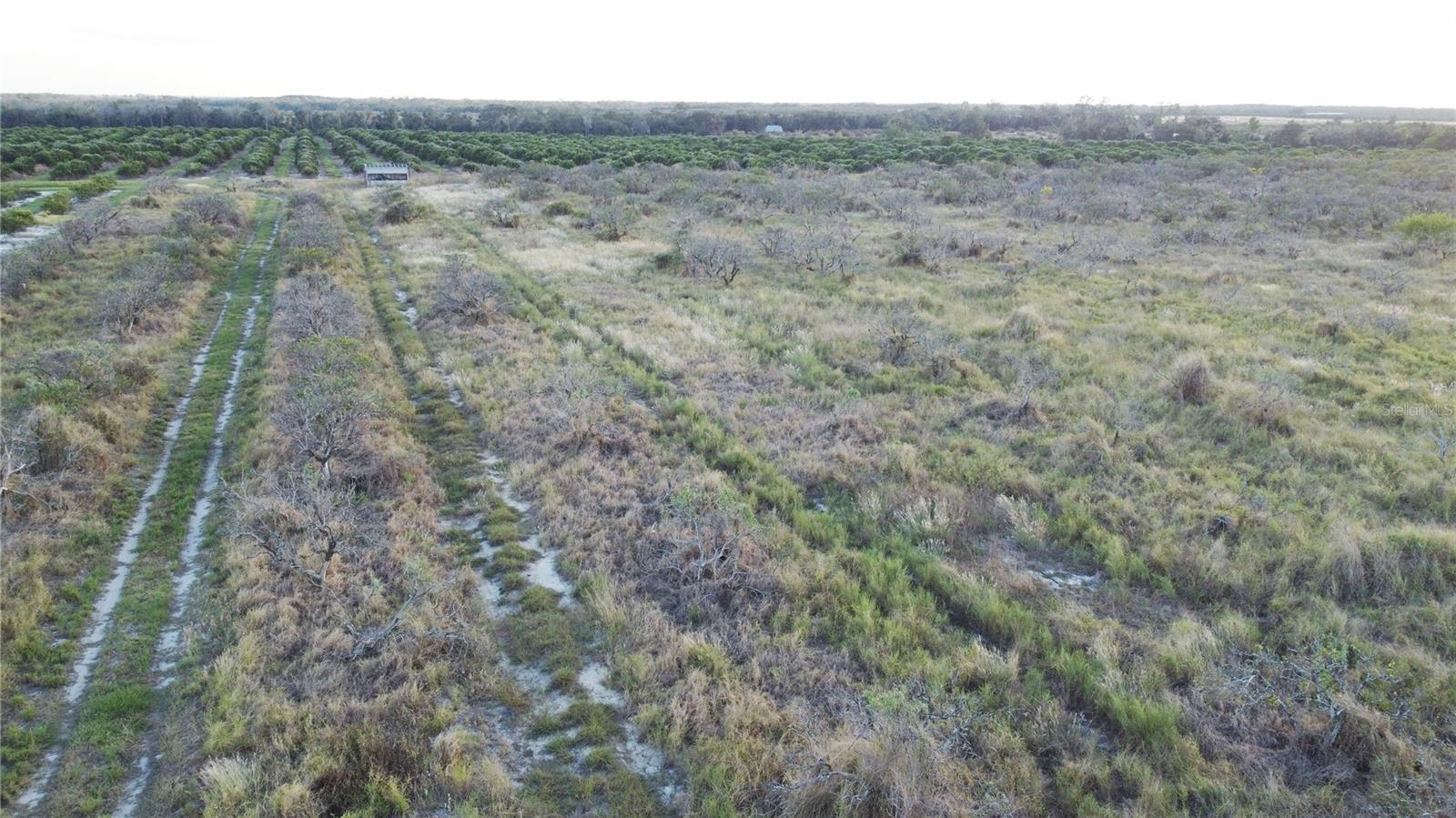 1895 Otto Polk Rd Property Photo 5