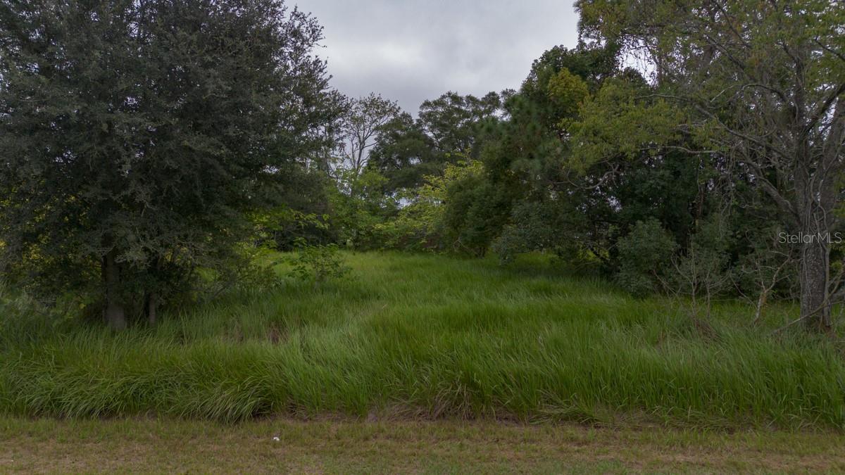 Laurel Ct Property Photo 1