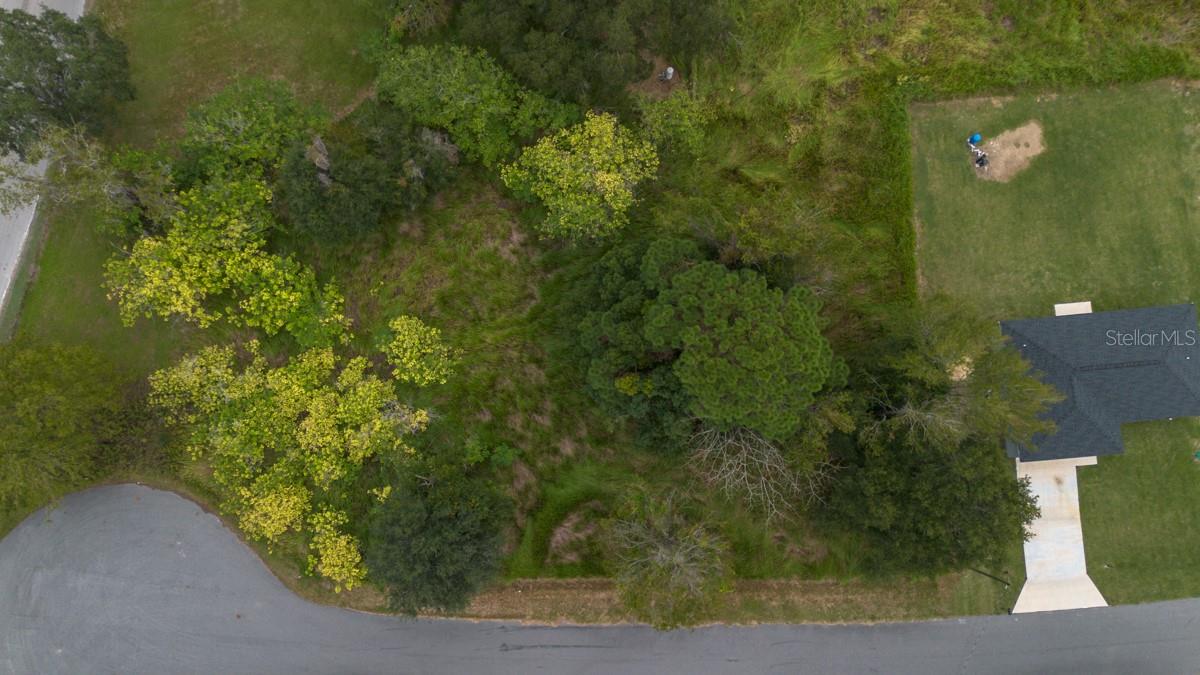 Laurel Ct Property Photo 8