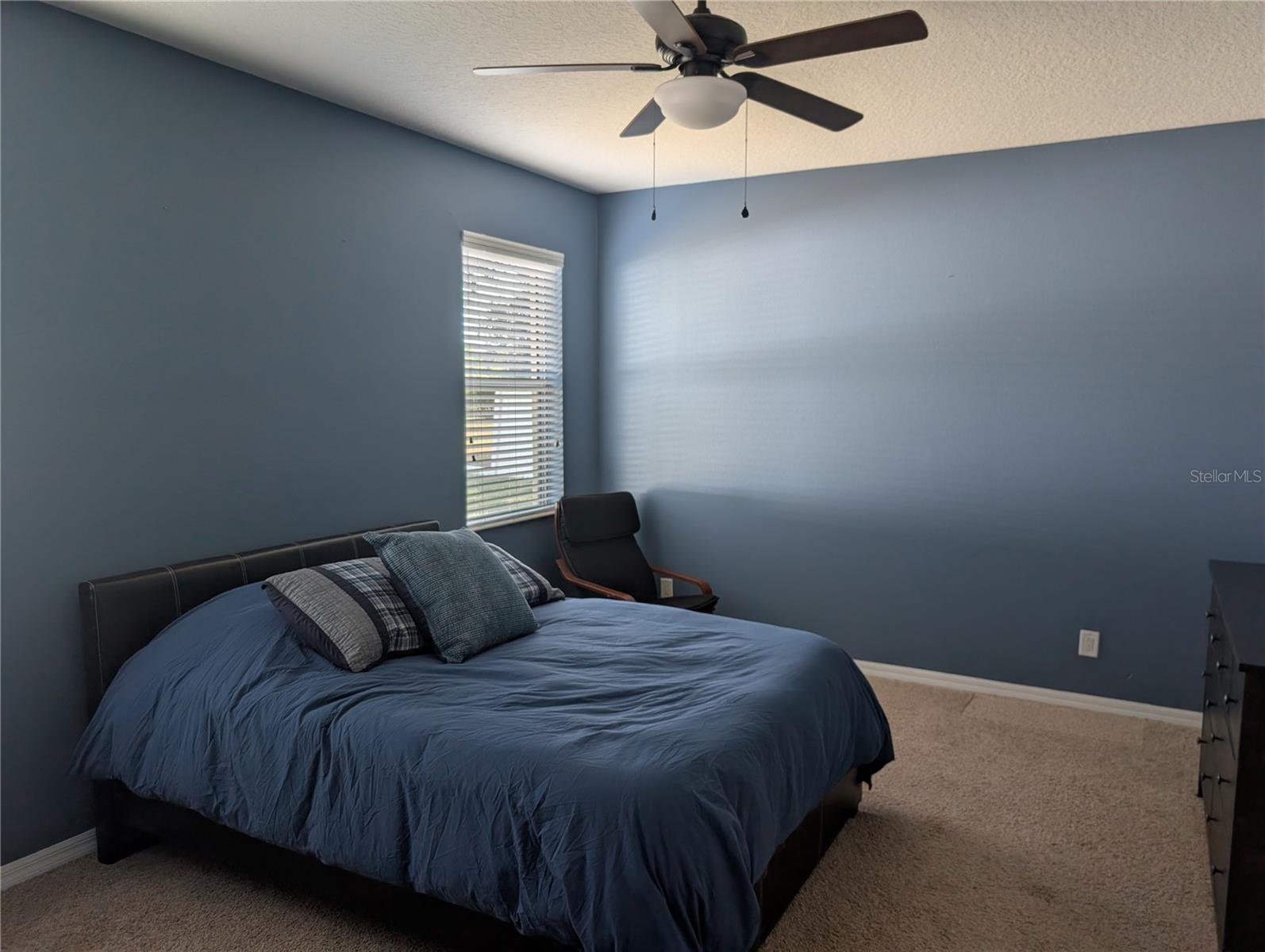 7343 Forest Mere Dr Property Photo 15