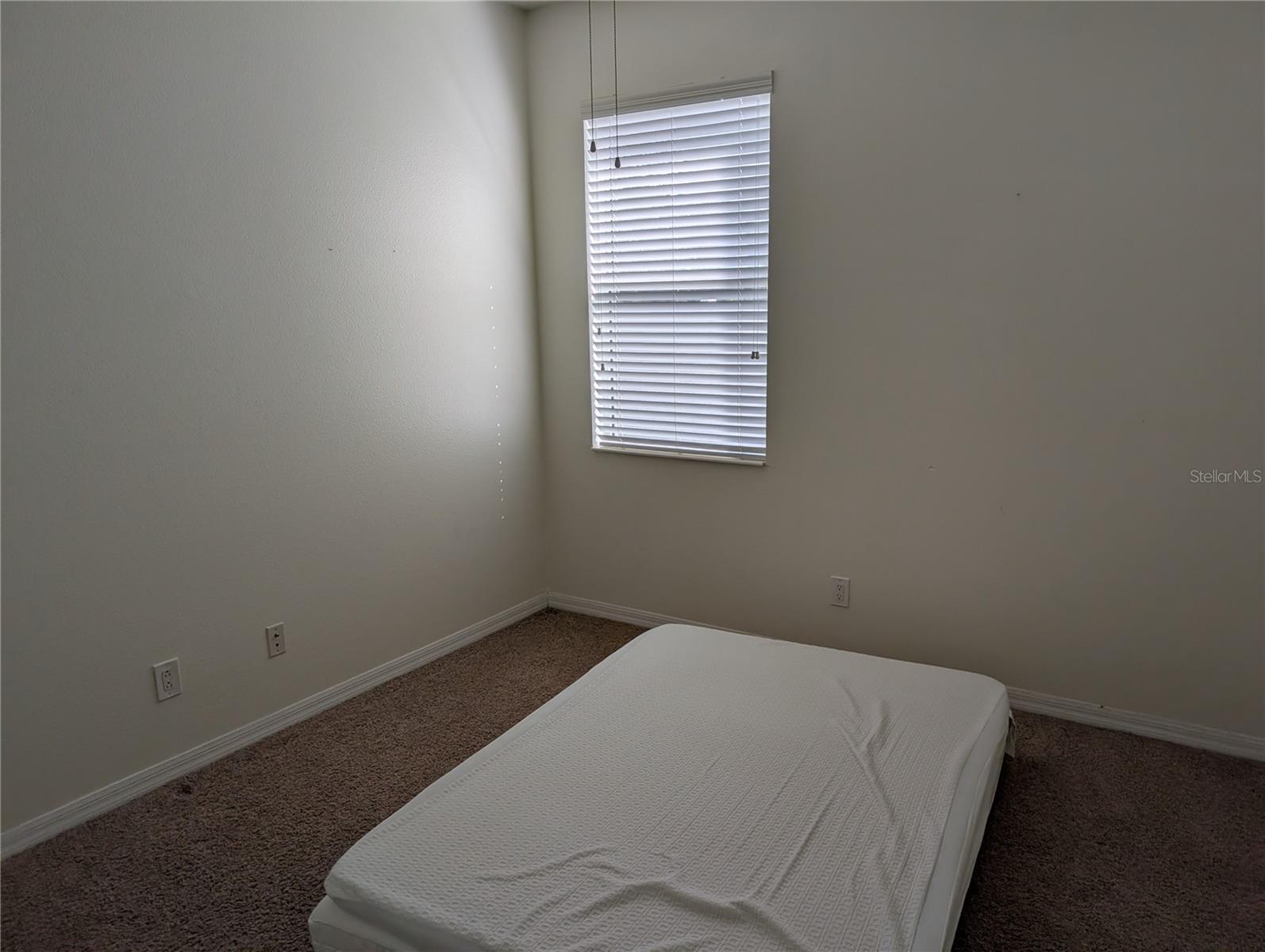 7343 Forest Mere Dr Property Photo 20