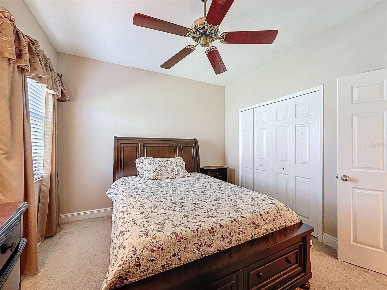 335 Cockle Shell Loop Property Photo 36