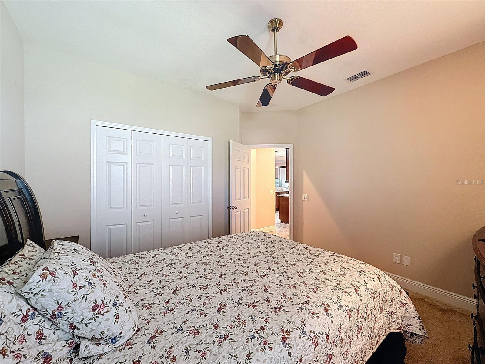 335 Cockle Shell Loop Property Photo 37