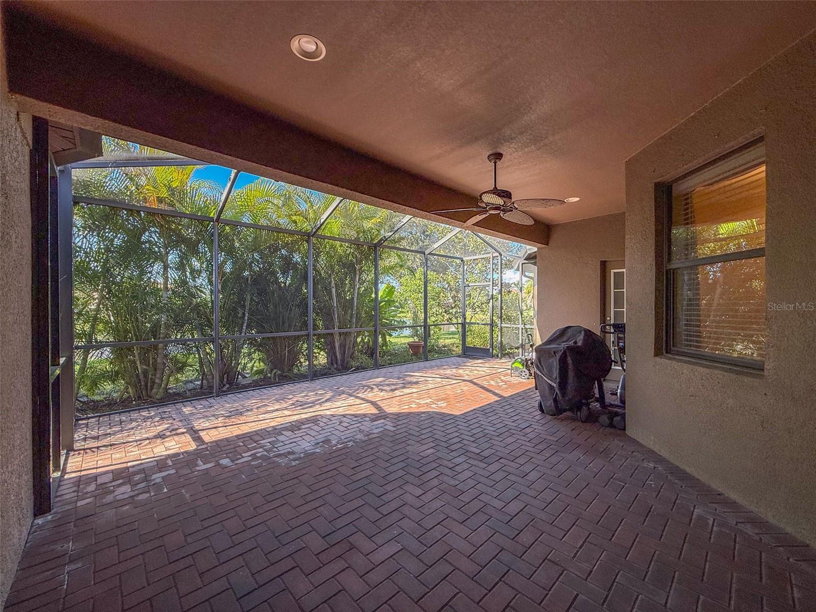 335 Cockle Shell Loop Property Photo 47