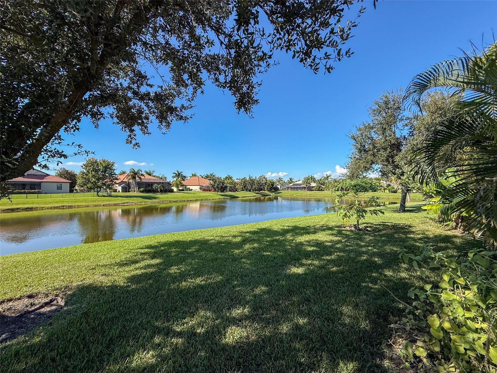 335 Cockle Shell Loop Property Photo 51