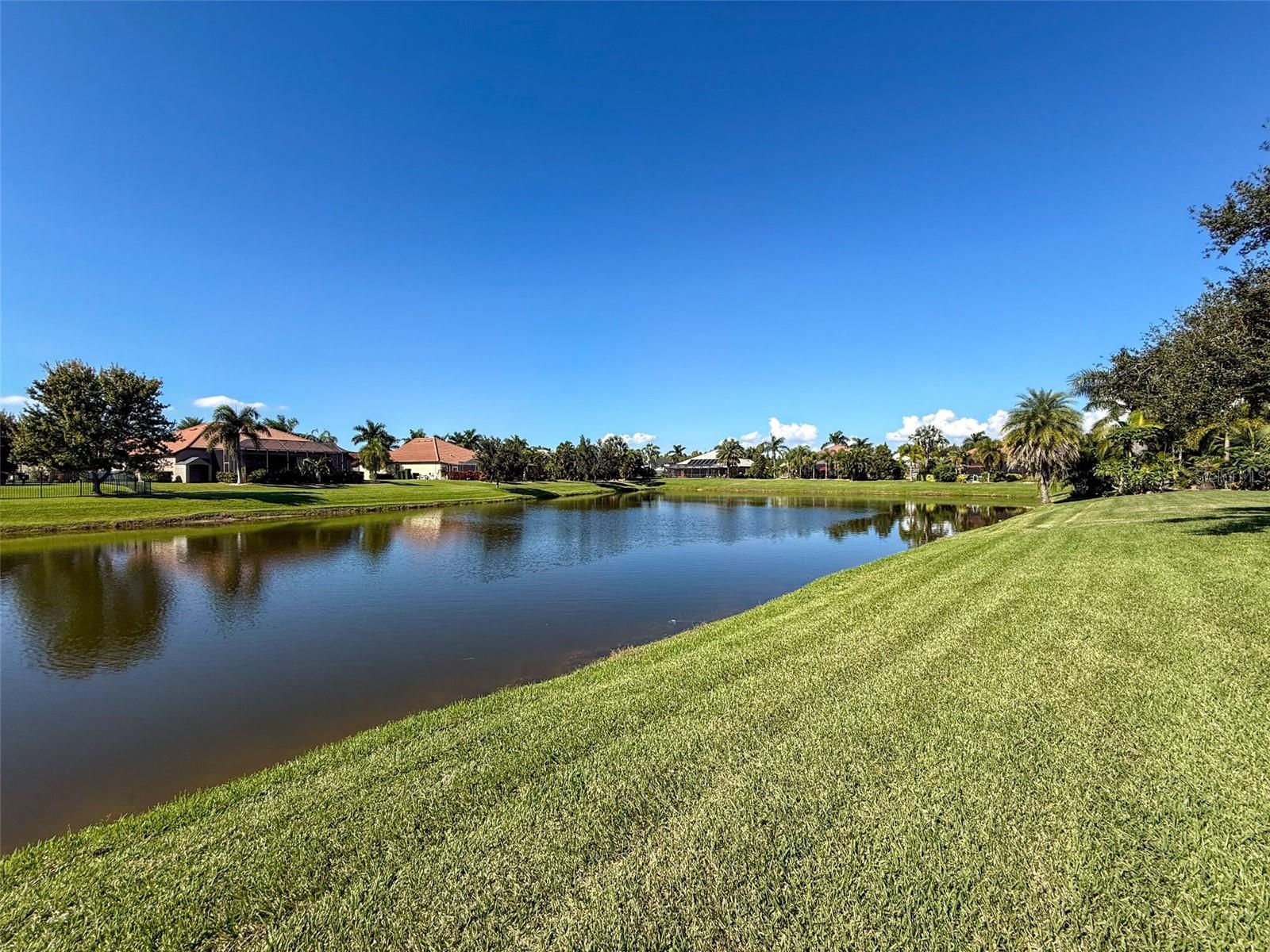 335 Cockle Shell Loop Property Photo 52