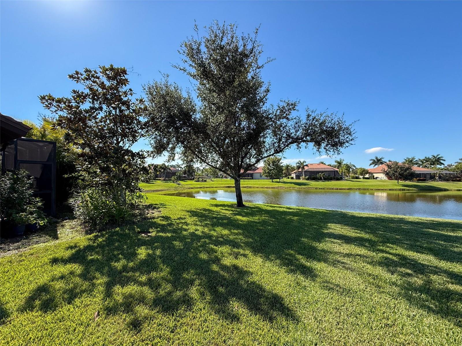 335 Cockle Shell Loop Property Photo 54