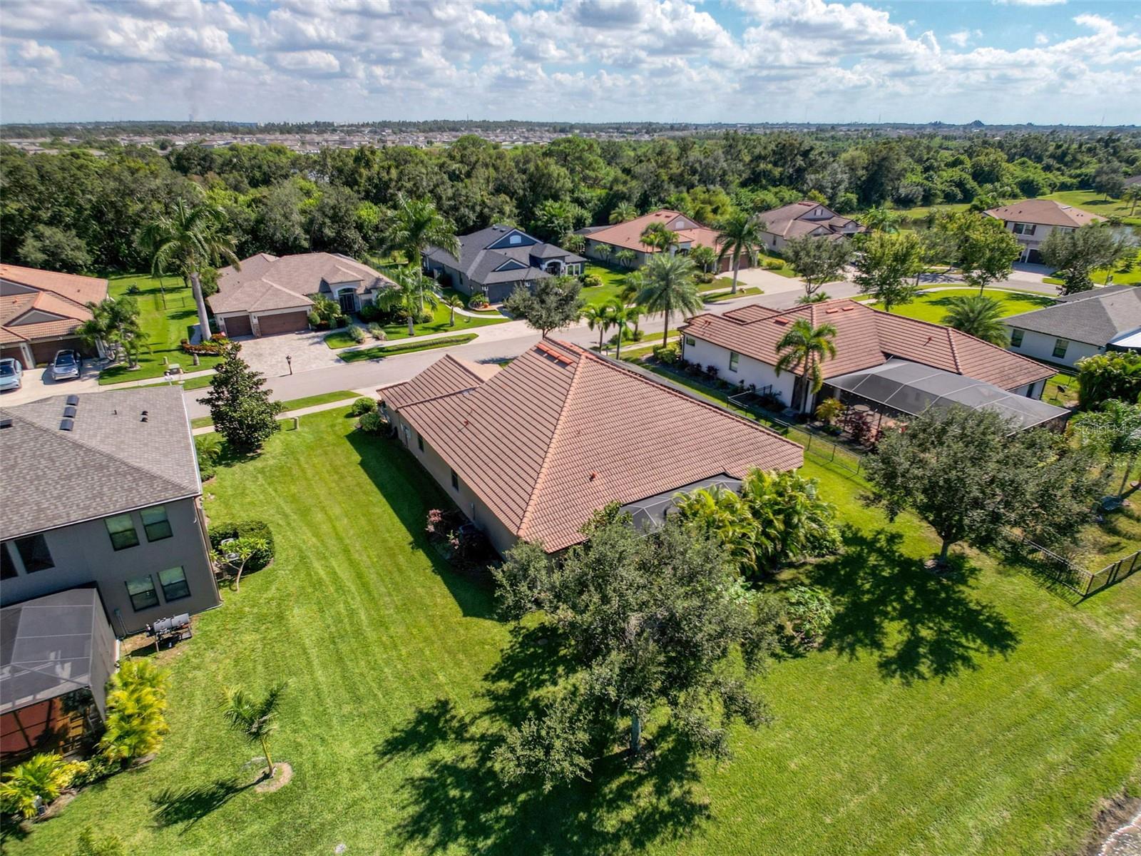 335 Cockle Shell Loop Property Photo 56