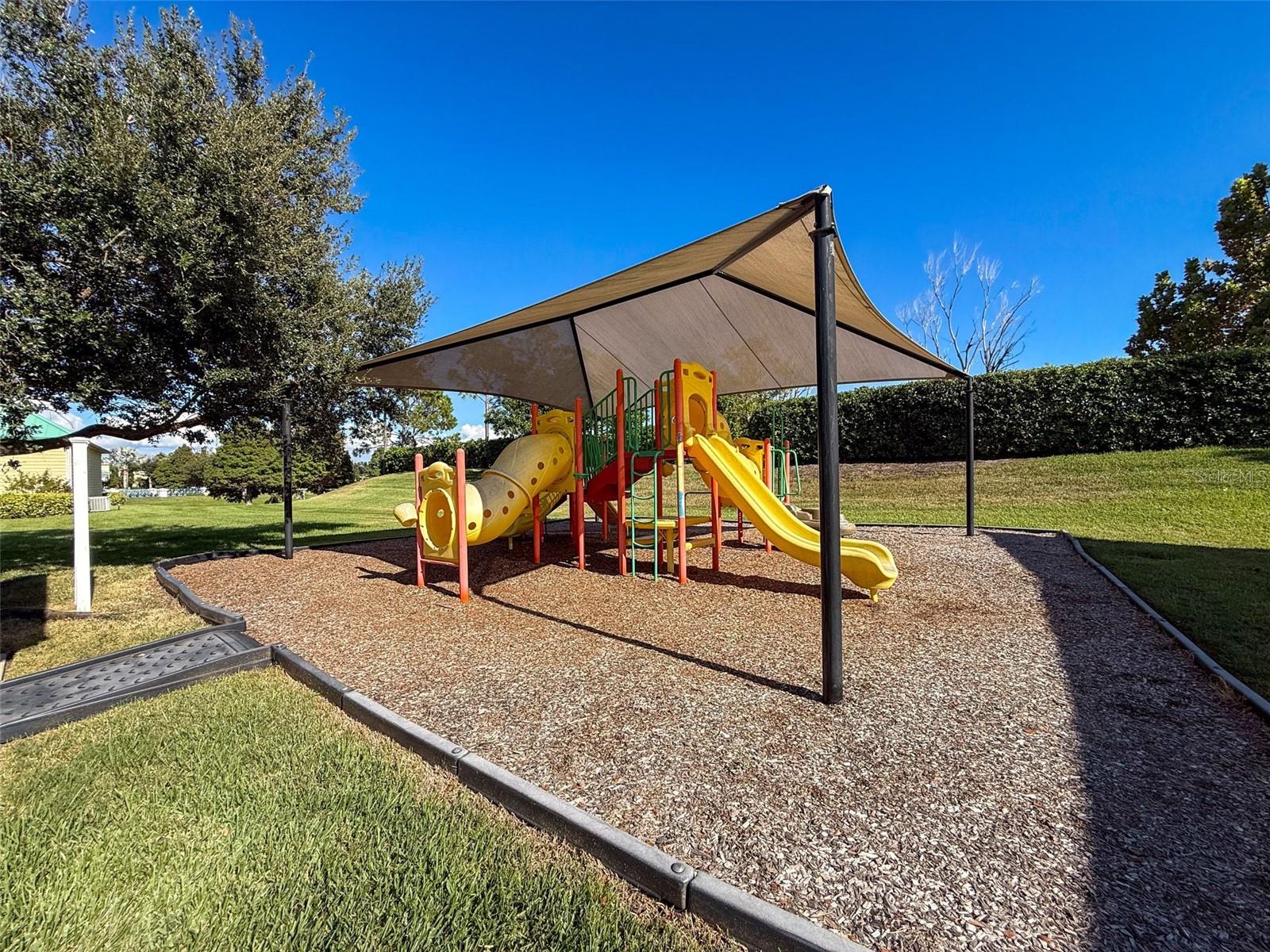 335 Cockle Shell Loop Property Photo 87