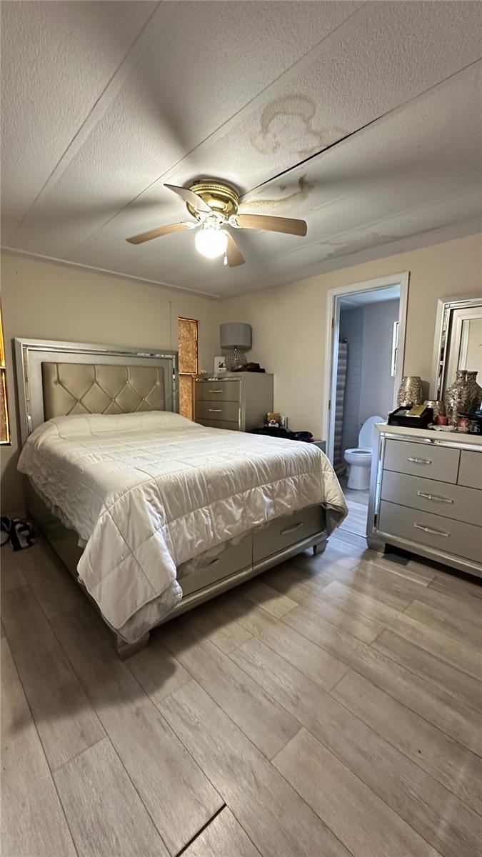 4422 Rose St Property Photo 5