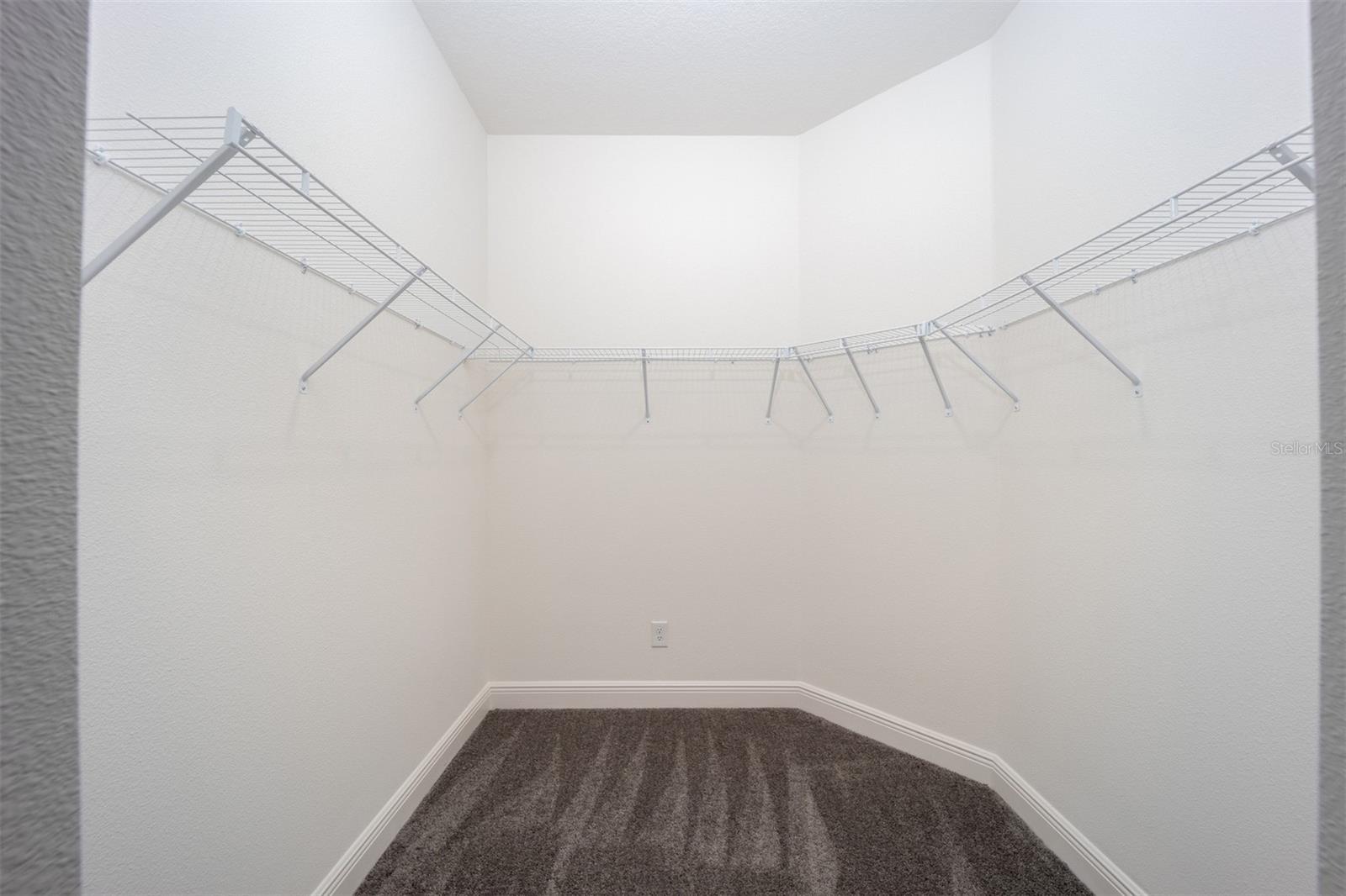3343 Chinotto Dr Property Photo 13