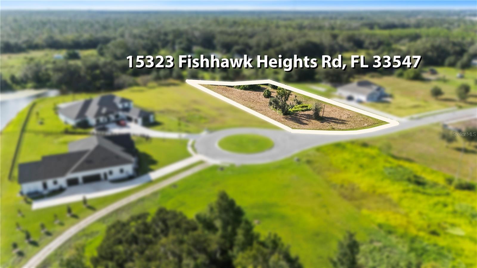 15323 Fishhawk Heights Run Property Photo 1