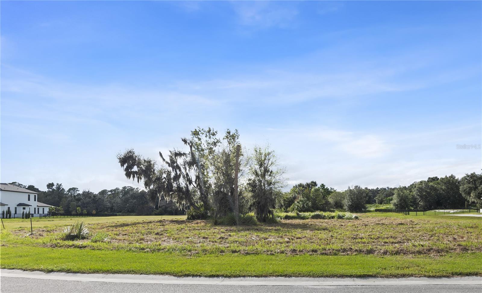 15323 Fishhawk Heights Run Property Photo 3