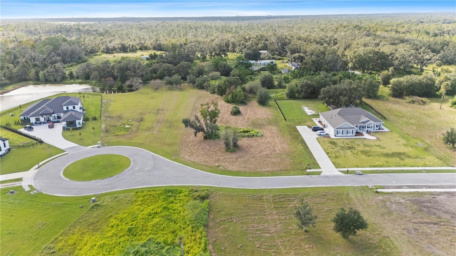 15323 Fishhawk Heights Run Property Photo 4