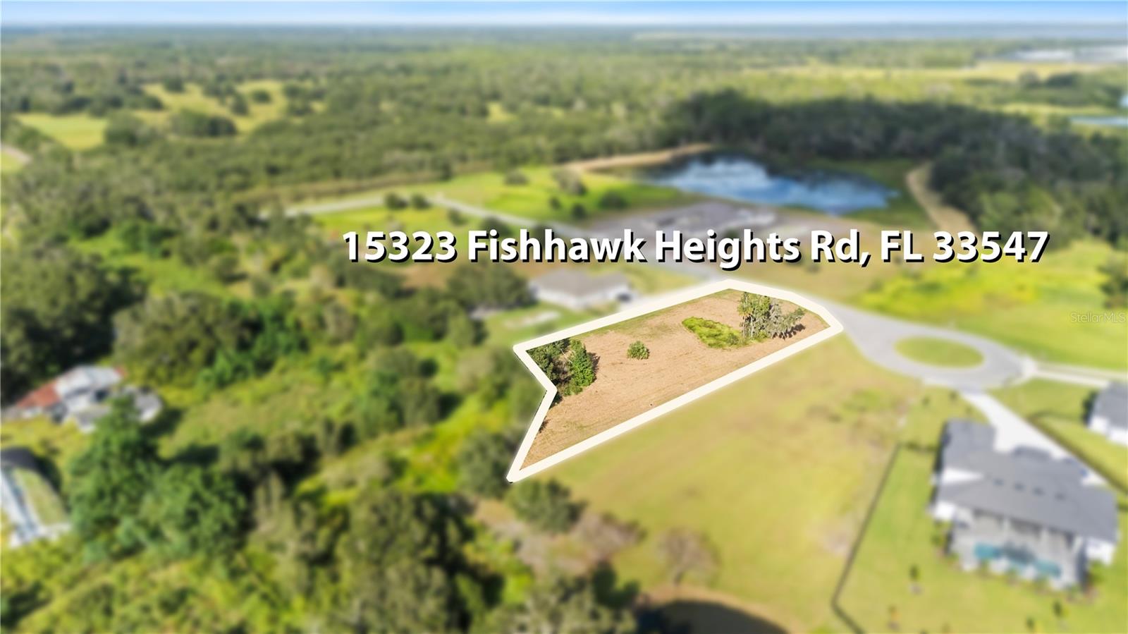 15323 Fishhawk Heights Run Property Photo 5