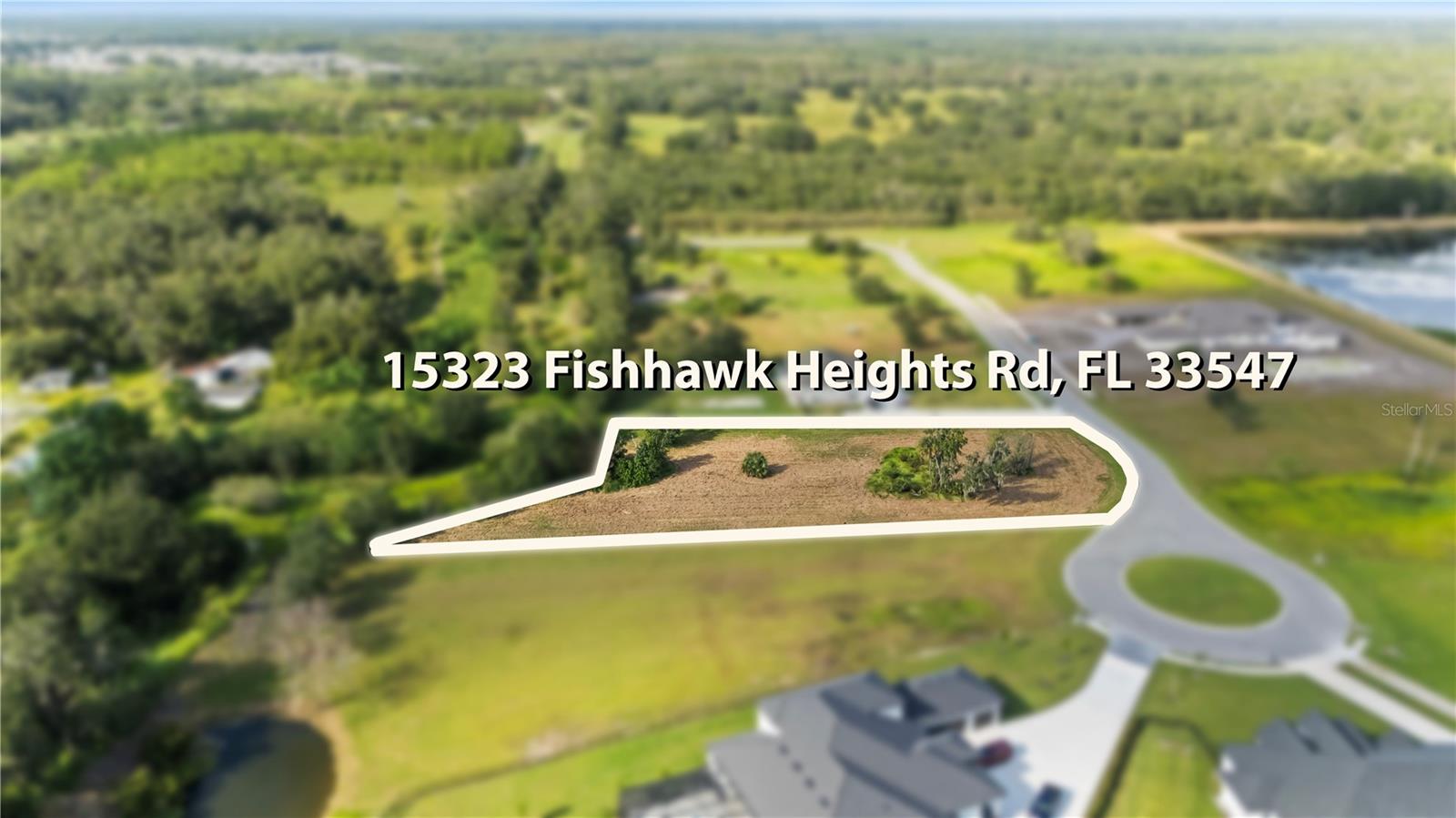 15323 Fishhawk Heights Run Property Photo 6