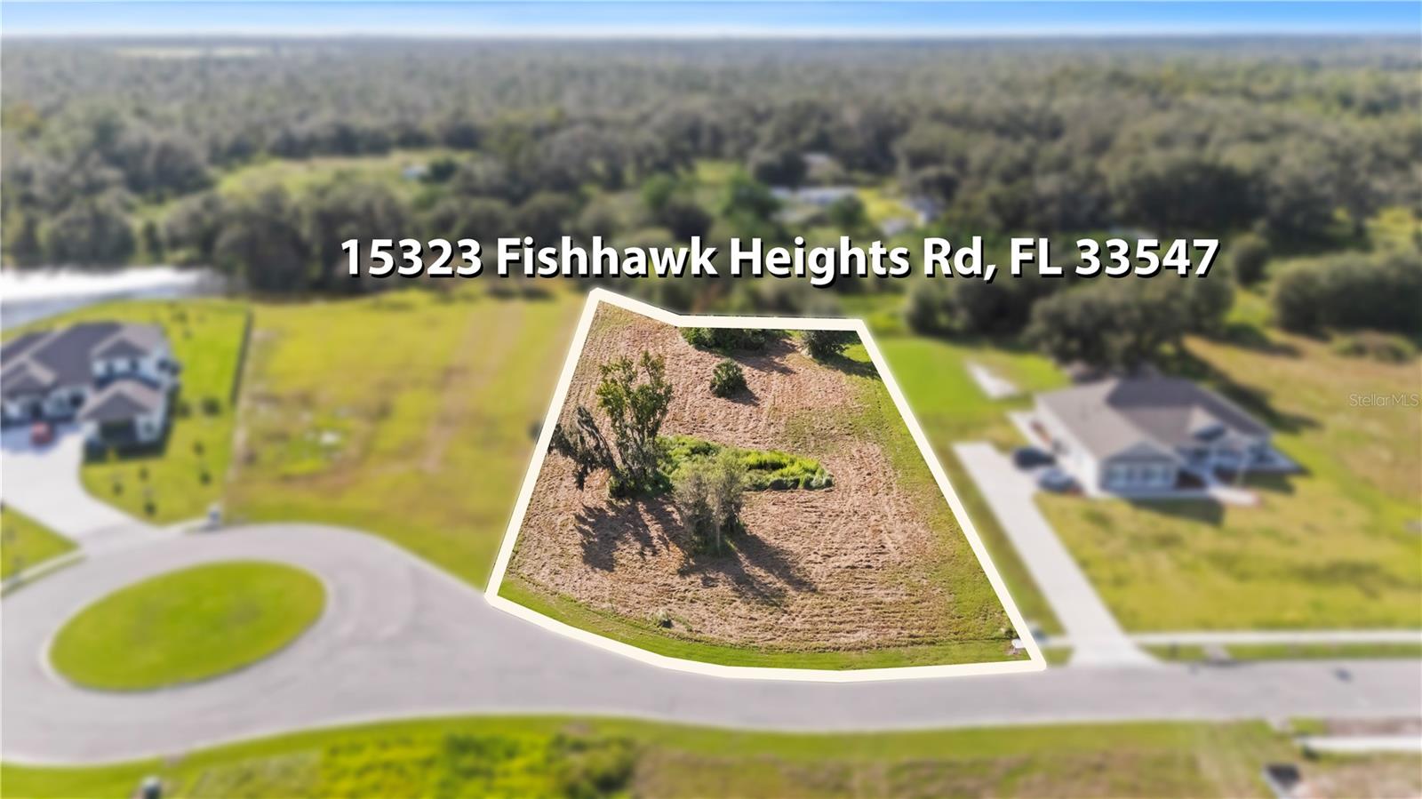 15323 Fishhawk Heights Run Property Photo 7