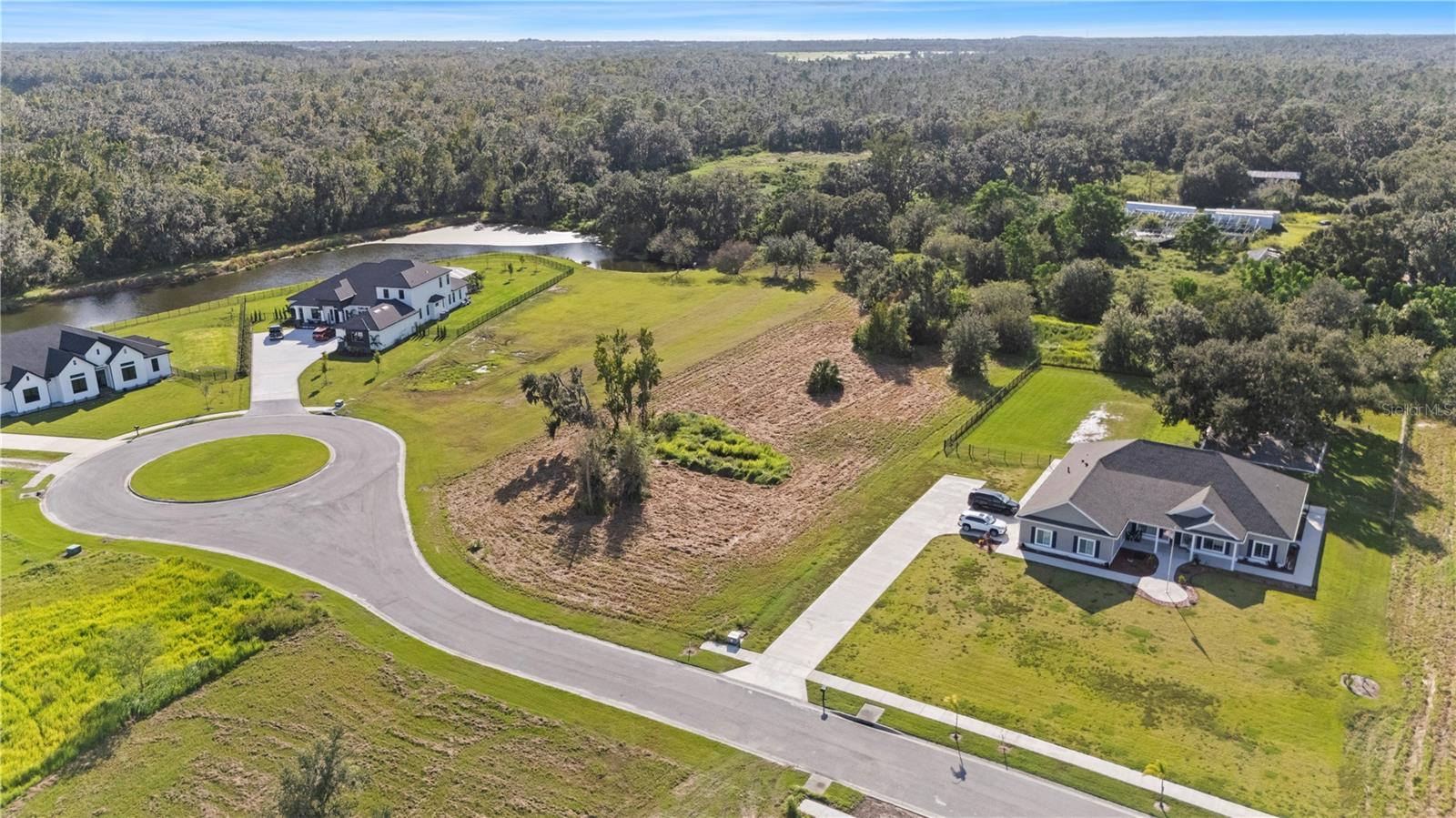 15323 Fishhawk Heights Run Property Photo 8