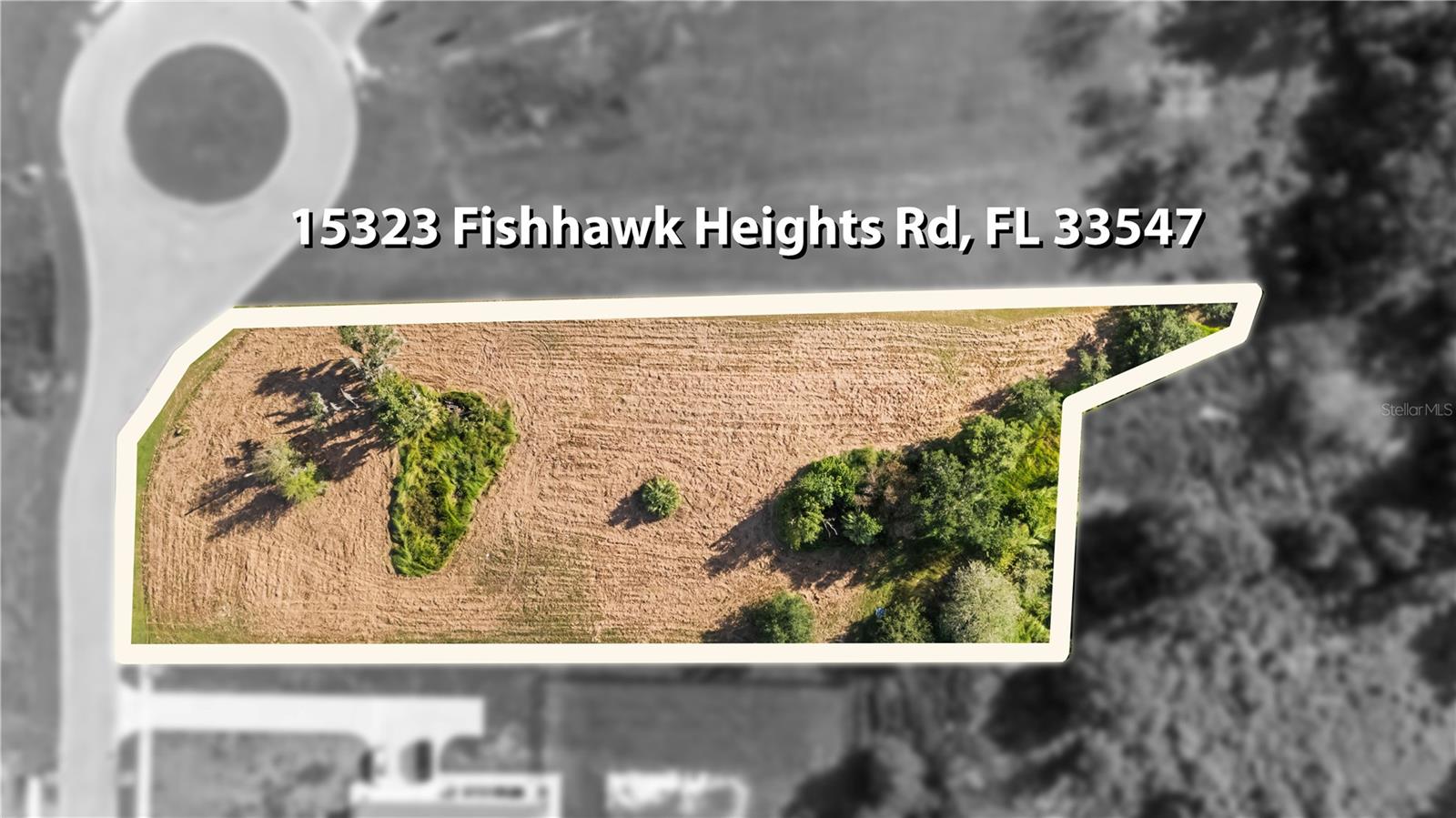 15323 Fishhawk Heights Run Property Photo 9