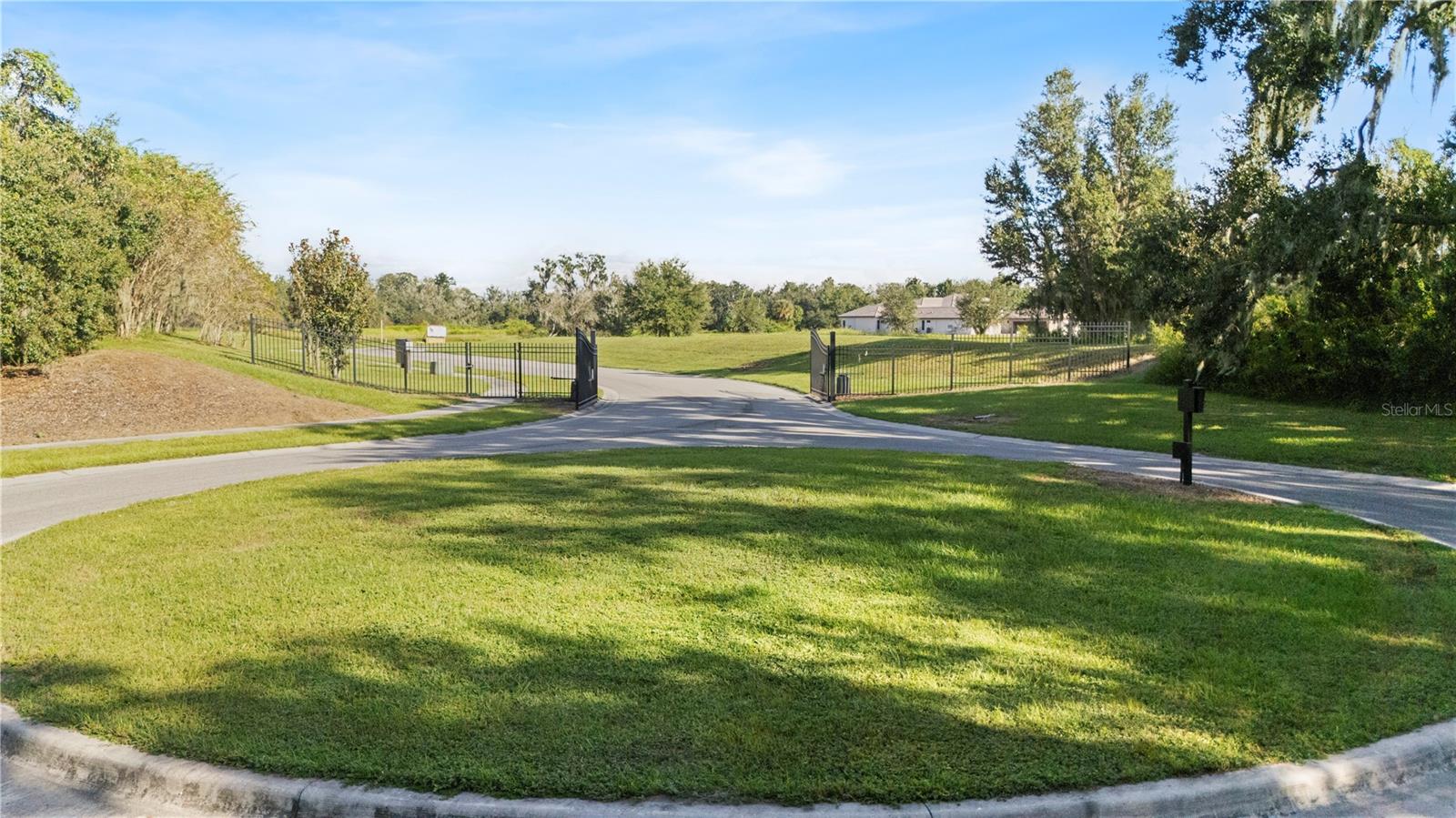 15323 Fishhawk Heights Run Property Photo 13