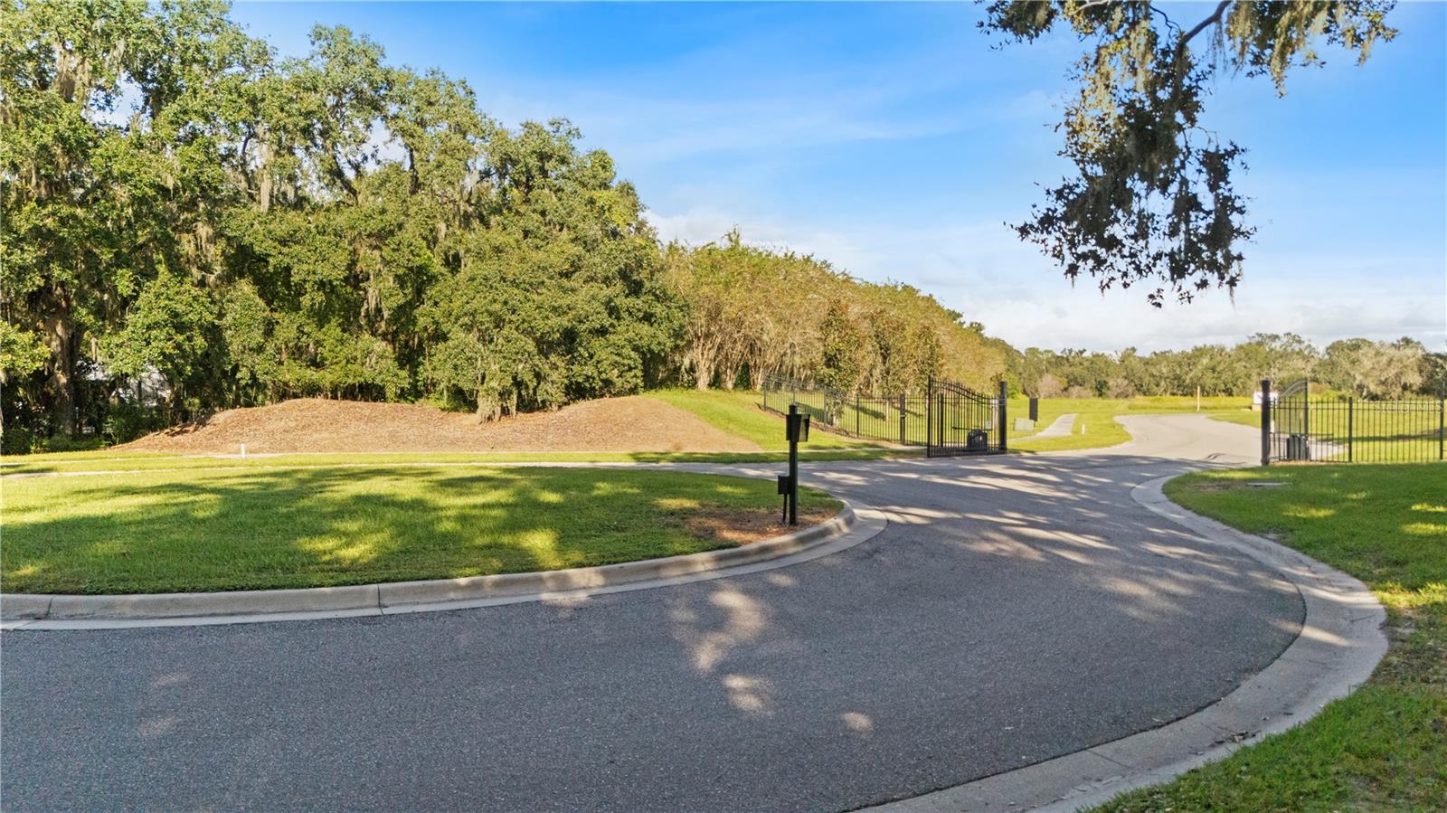 15323 Fishhawk Heights Run Property Photo 14