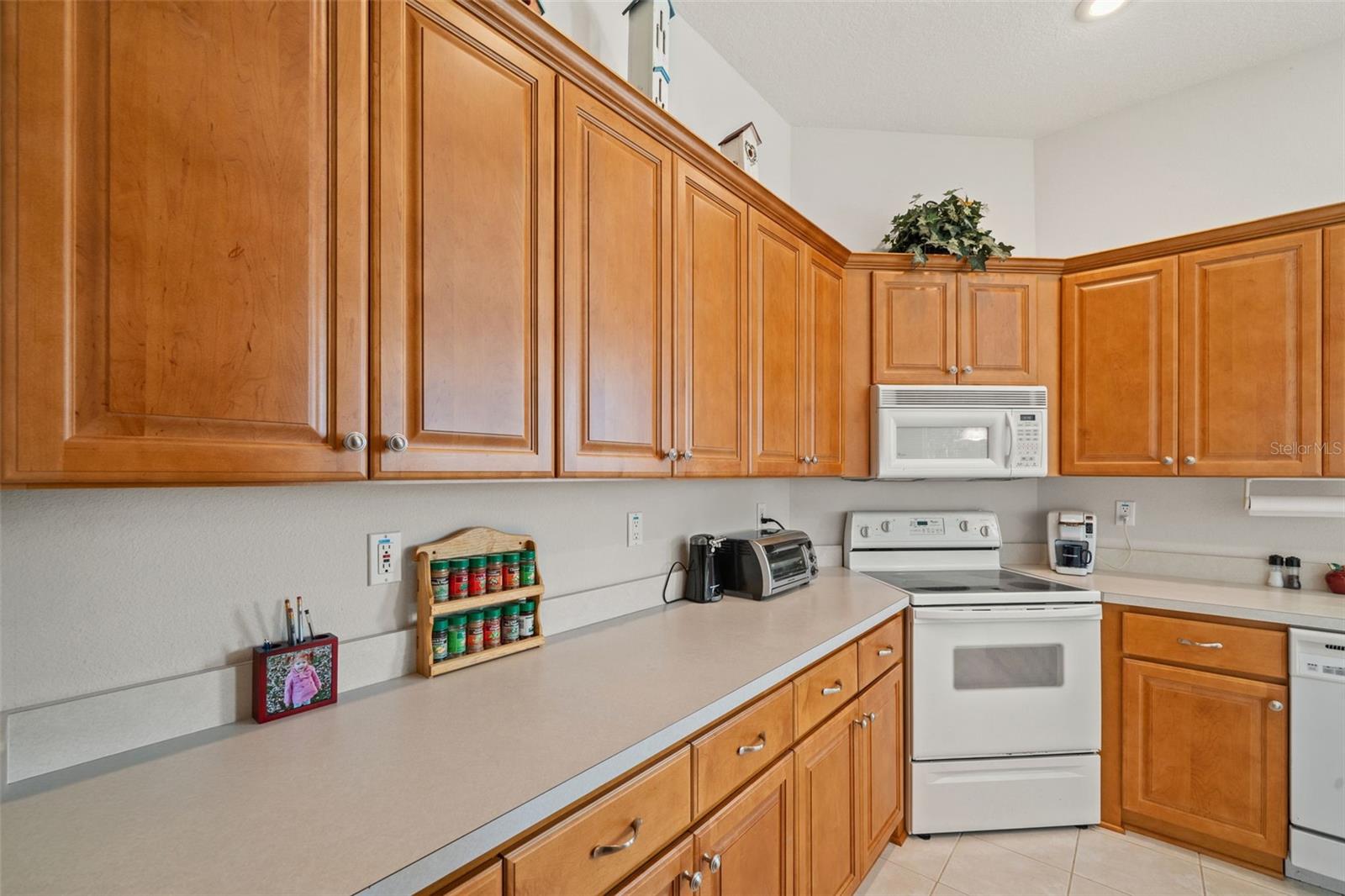 10199 Holly Berry Dr Property Photo 11
