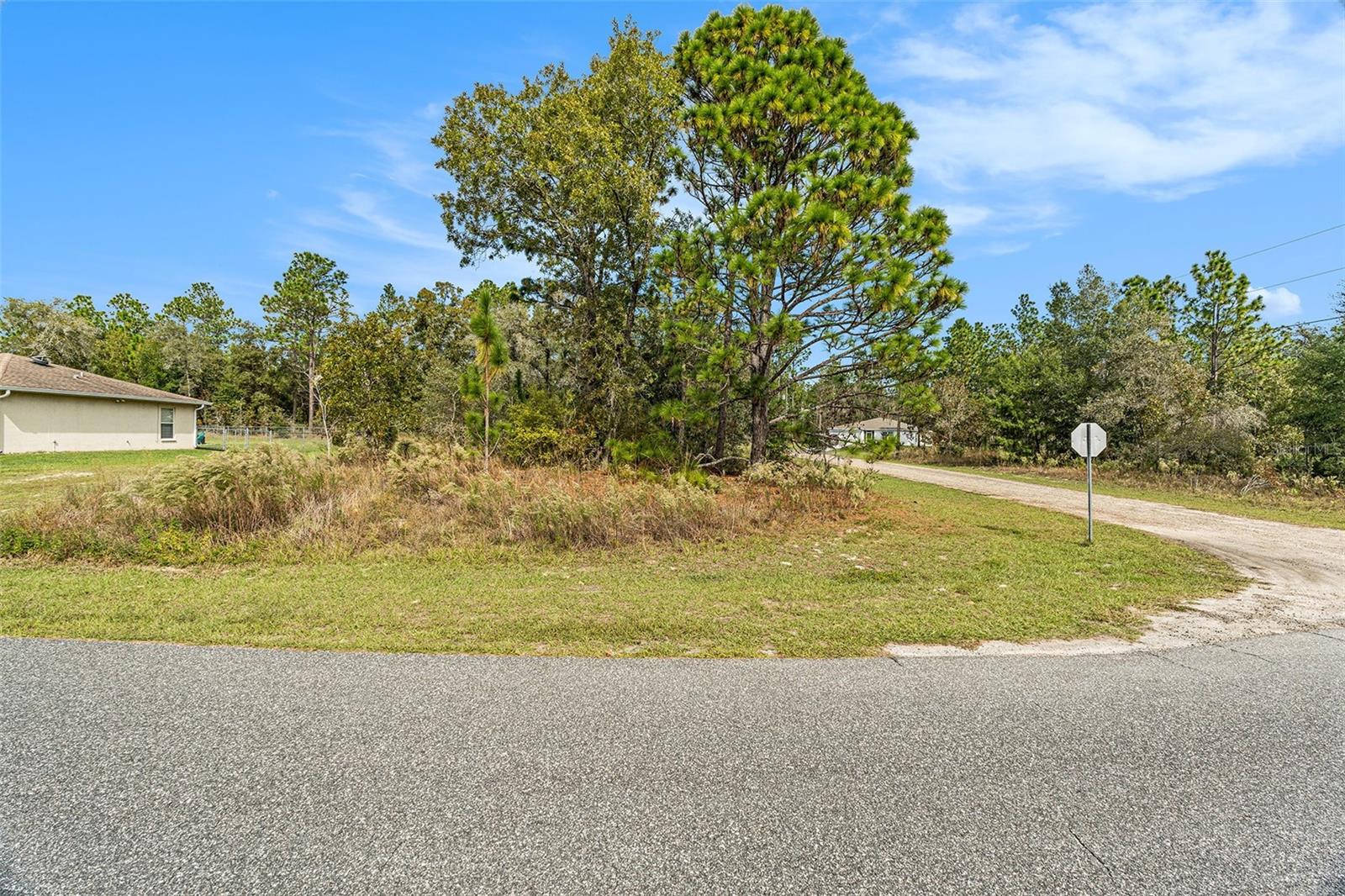 1541 W Riley Dr Property Photo 3
