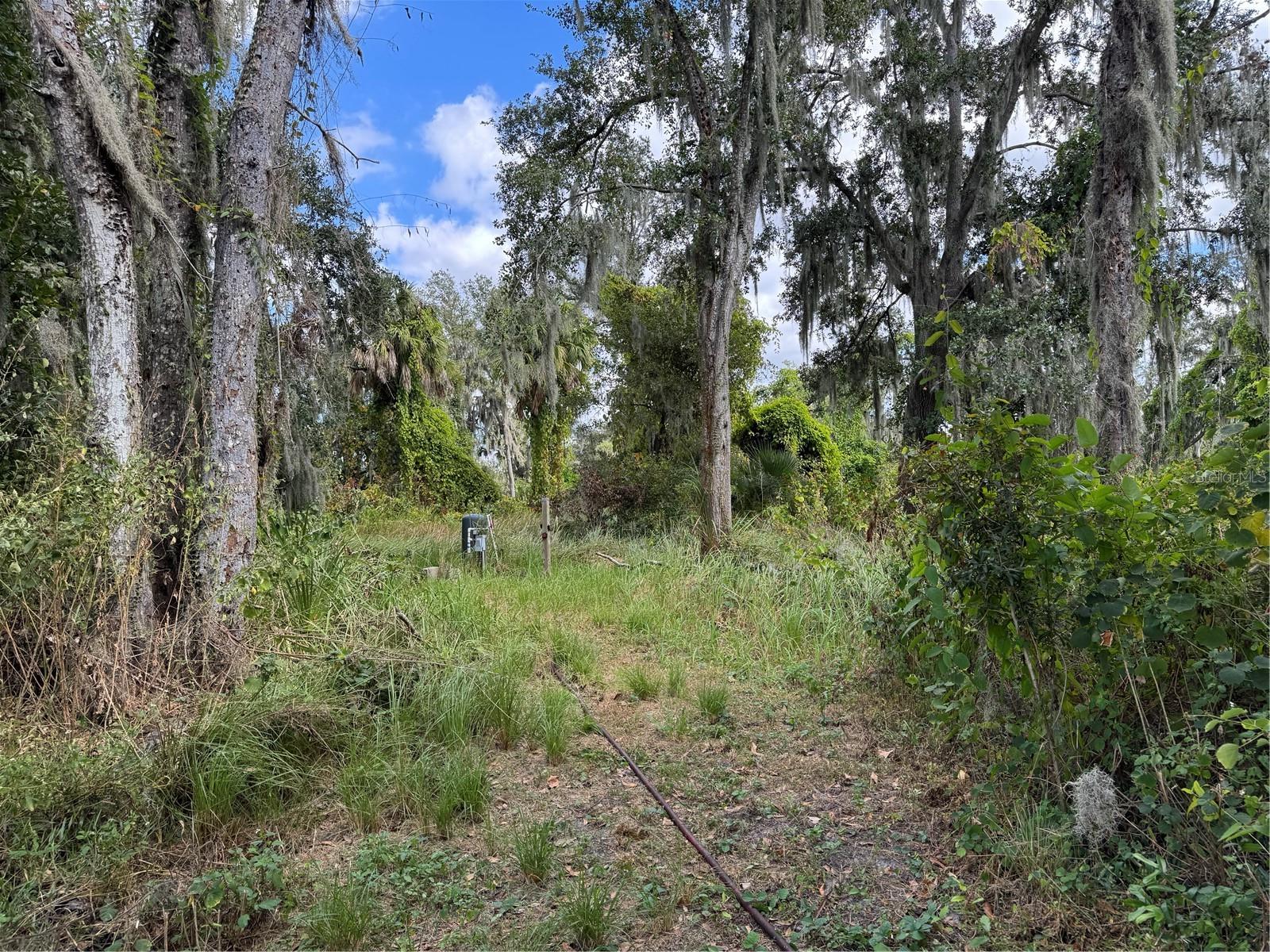 3721 Porter Rd Property Photo 3