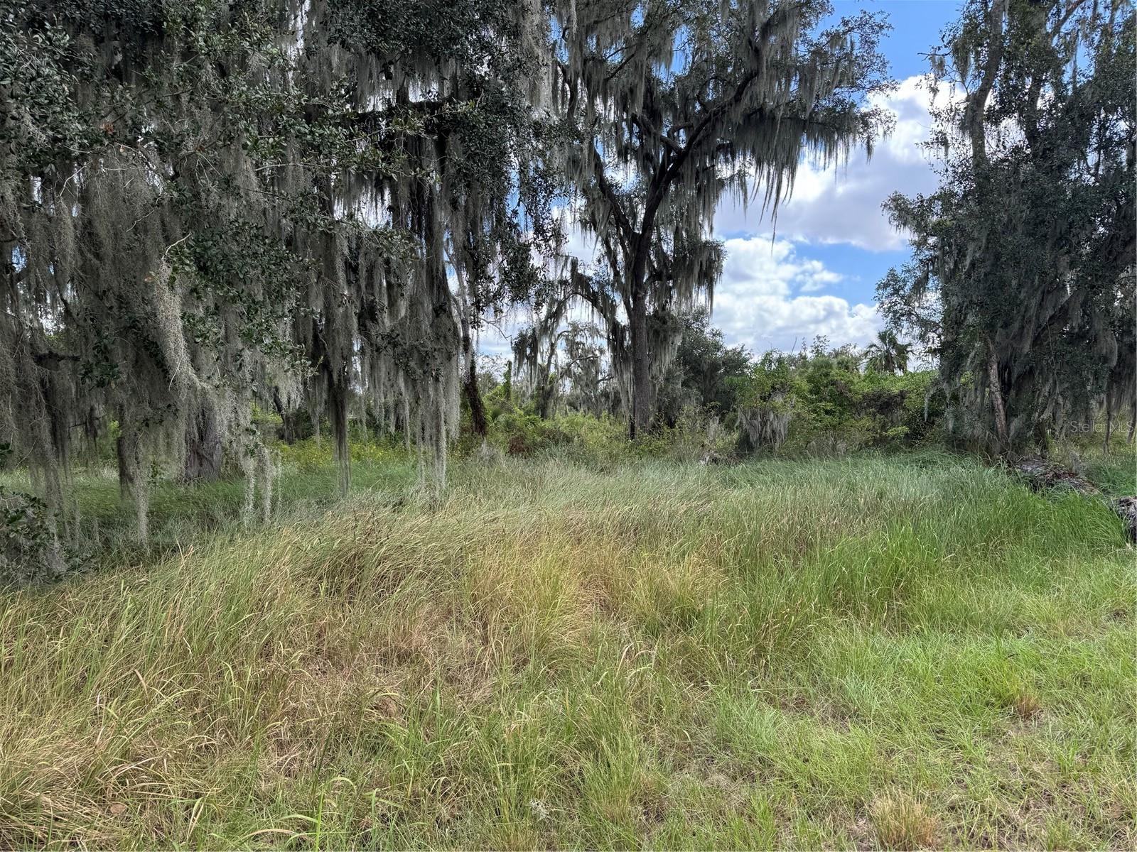 3721 Porter Rd Property Photo 4