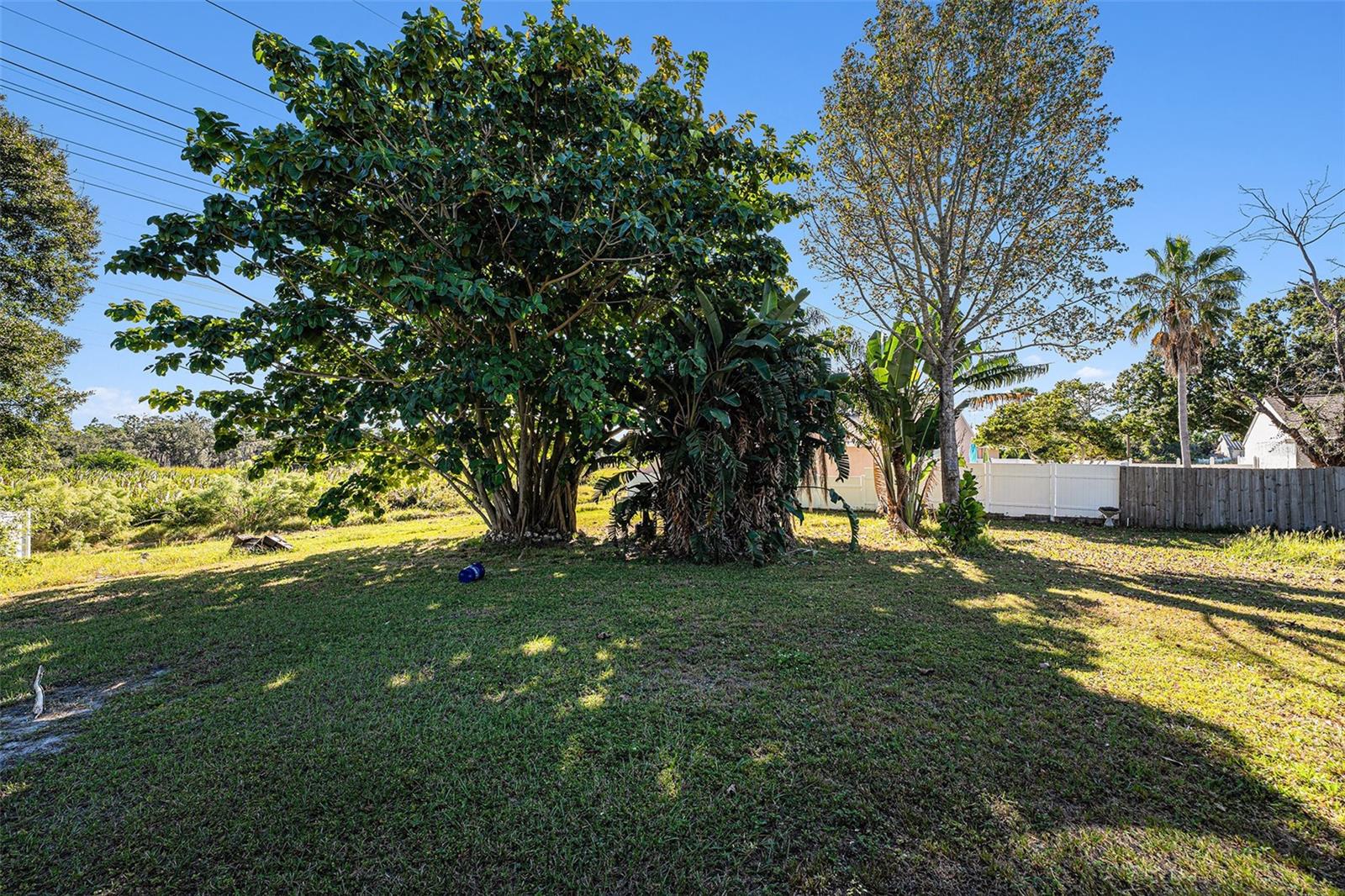 645 Timber Bay Cir E Property Photo 29