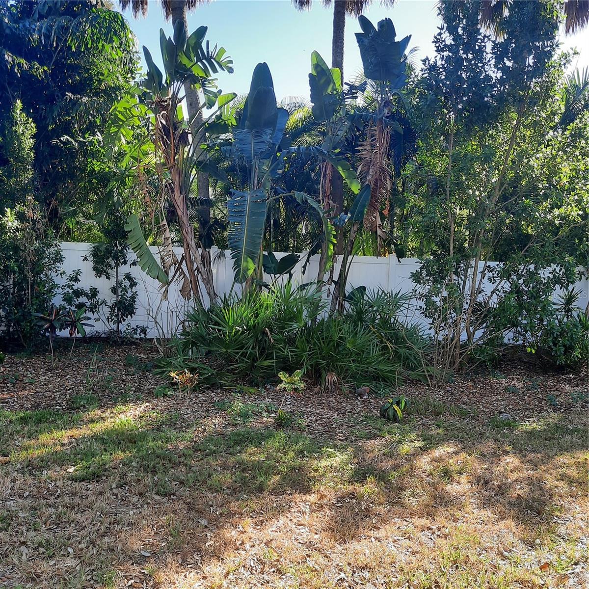 4806 W San Jose St Property Photo 7