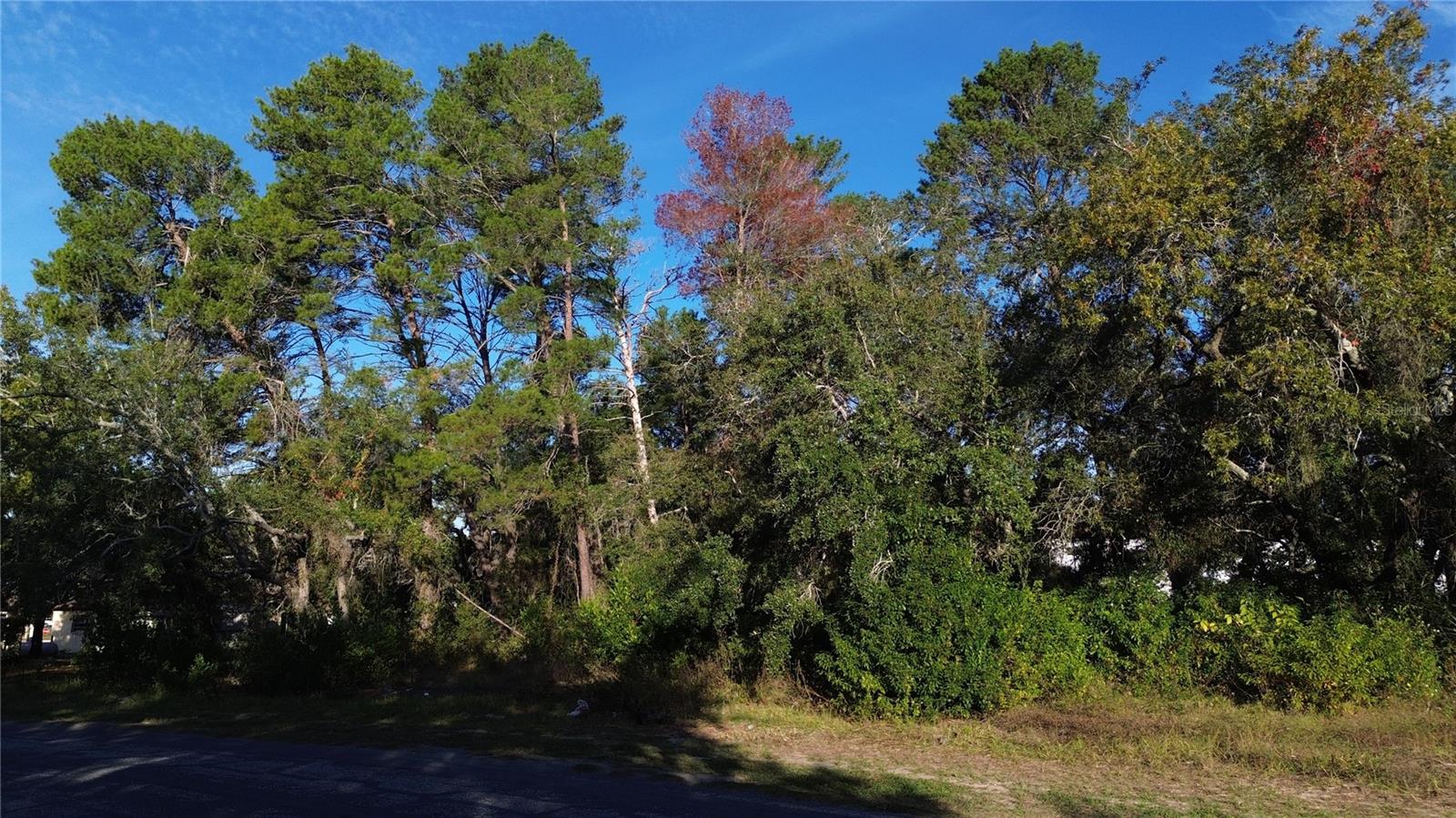 7939 Rhanbuoy Rd Property Photo 2