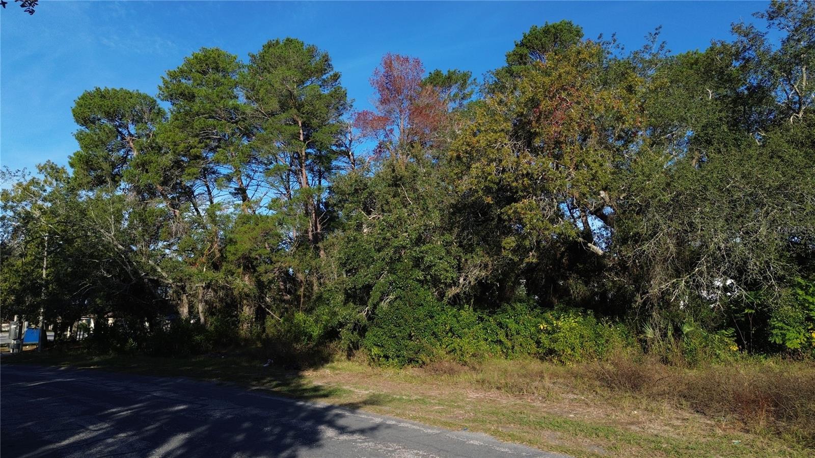 7939 Rhanbuoy Rd Property Photo 3
