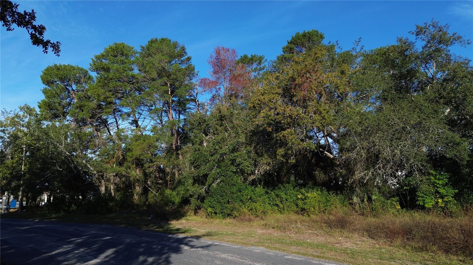 7939 Rhanbuoy Rd Property Photo 4