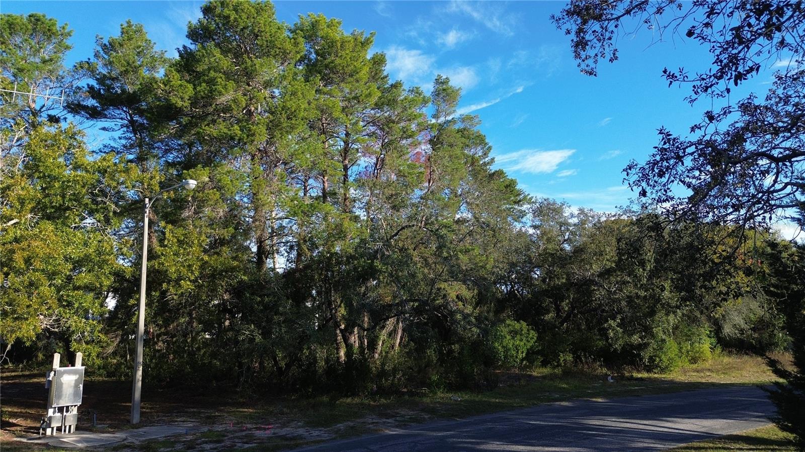 7939 Rhanbuoy Rd Property Photo 5