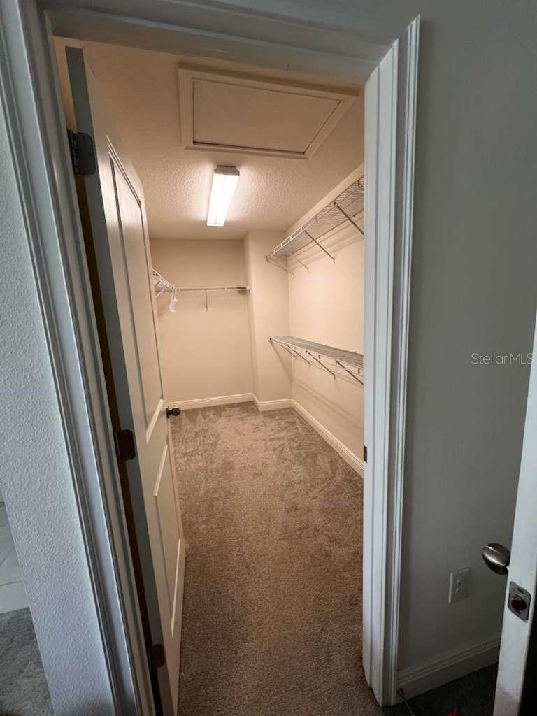 14234 Damselfly Dr Property Photo 23