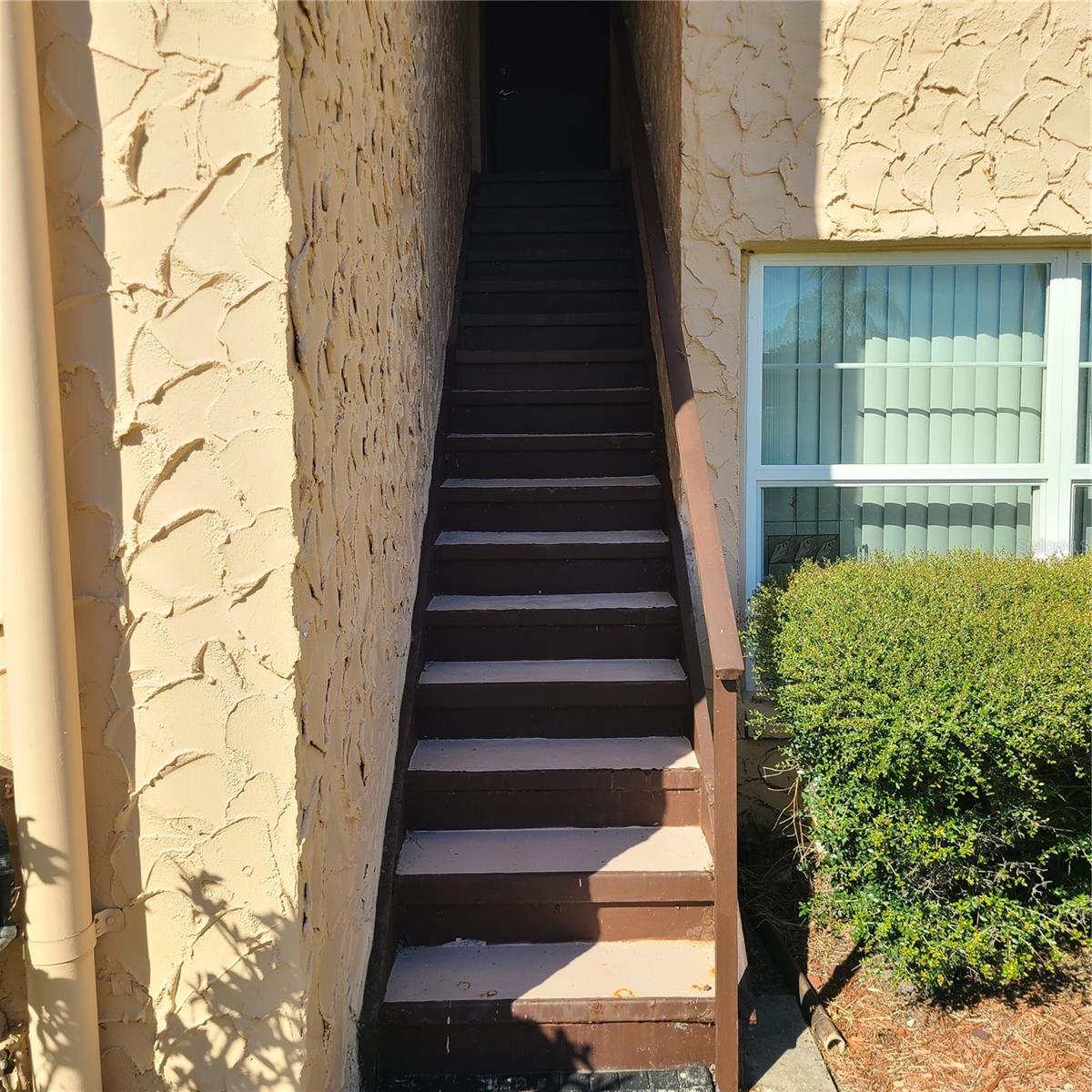 220 Buttonwood Cir #220 Property Photo 46