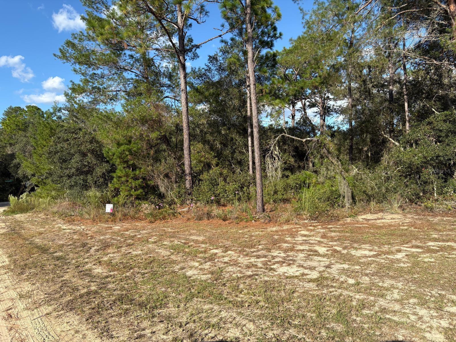 2909 Eastwood St Property Photo 4