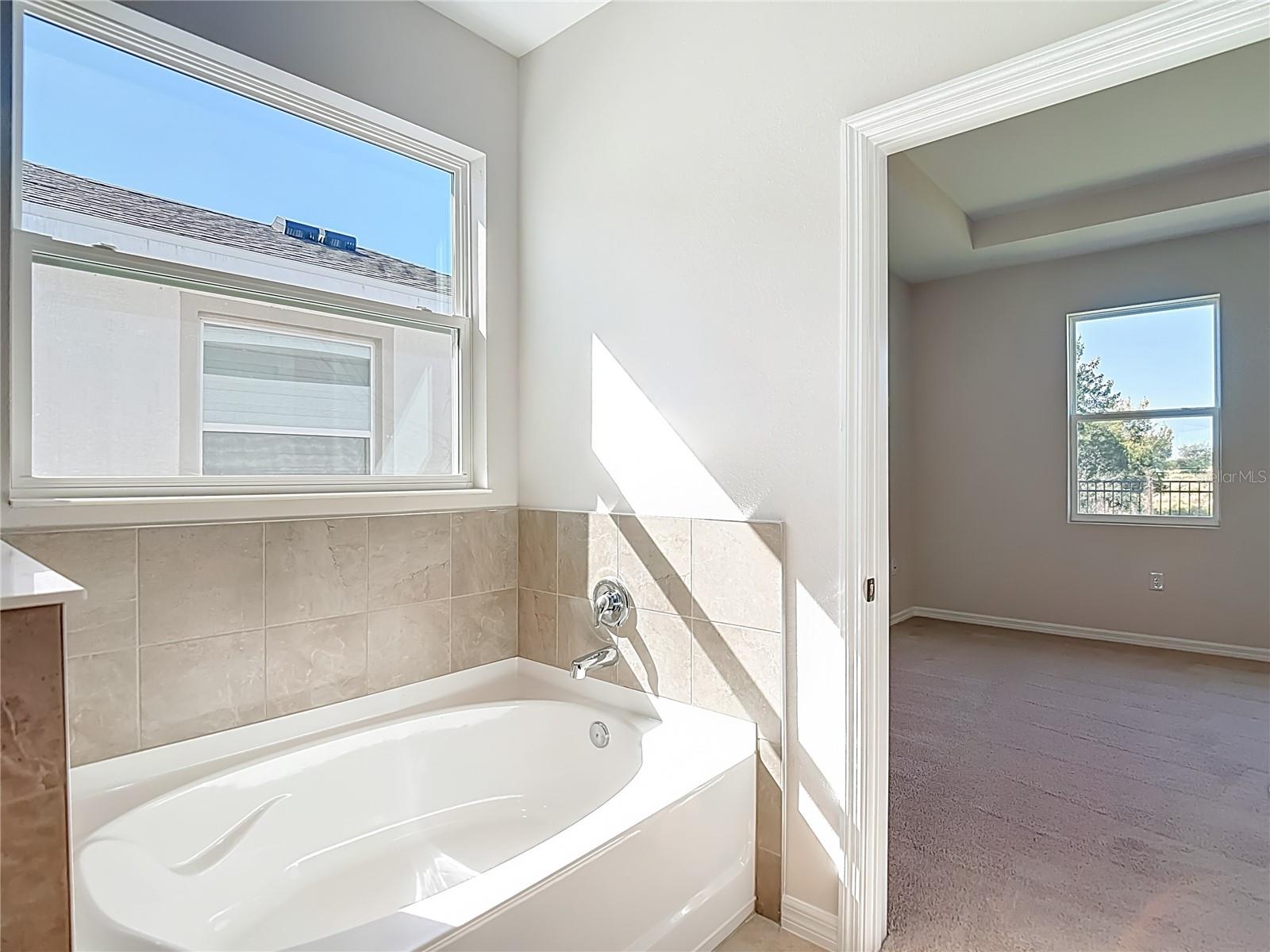 10471 Bridgegate Heights Loop Property Photo 16