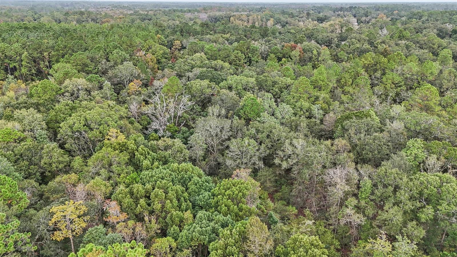 W Edwards Rd Property Photo 8