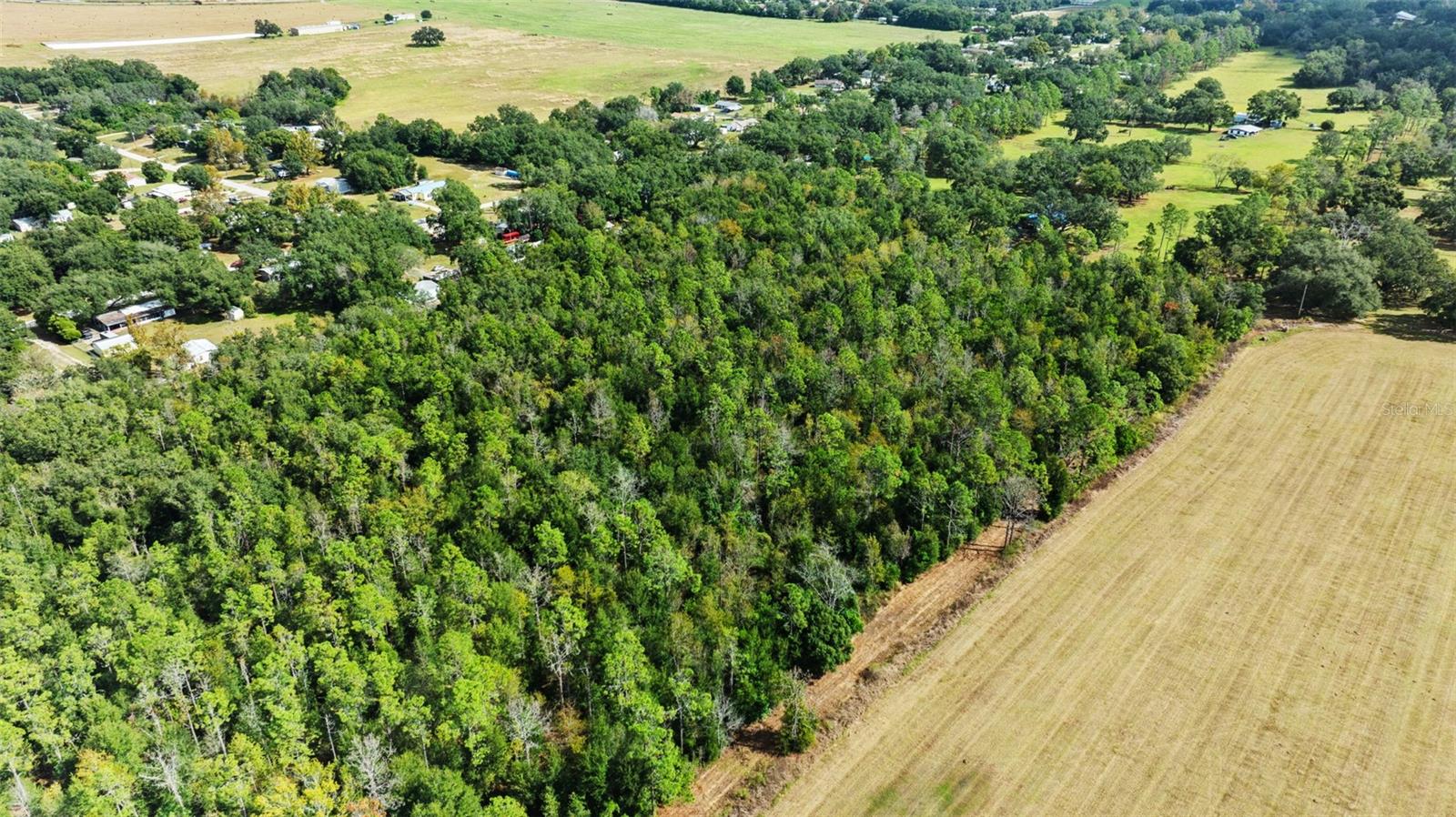 Shenna Lane Property Photo 9