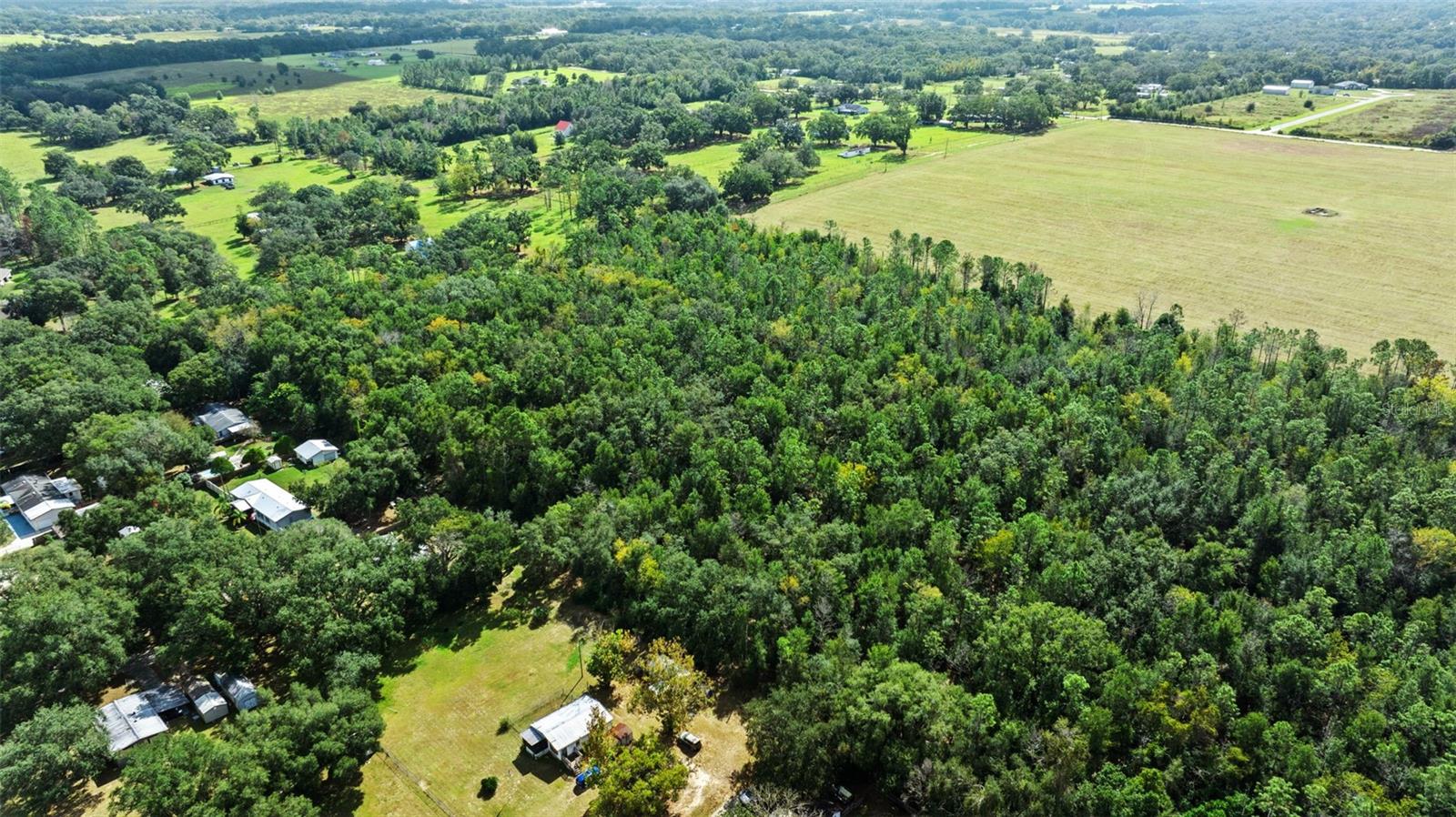 Shenna Lane Property Photo 15