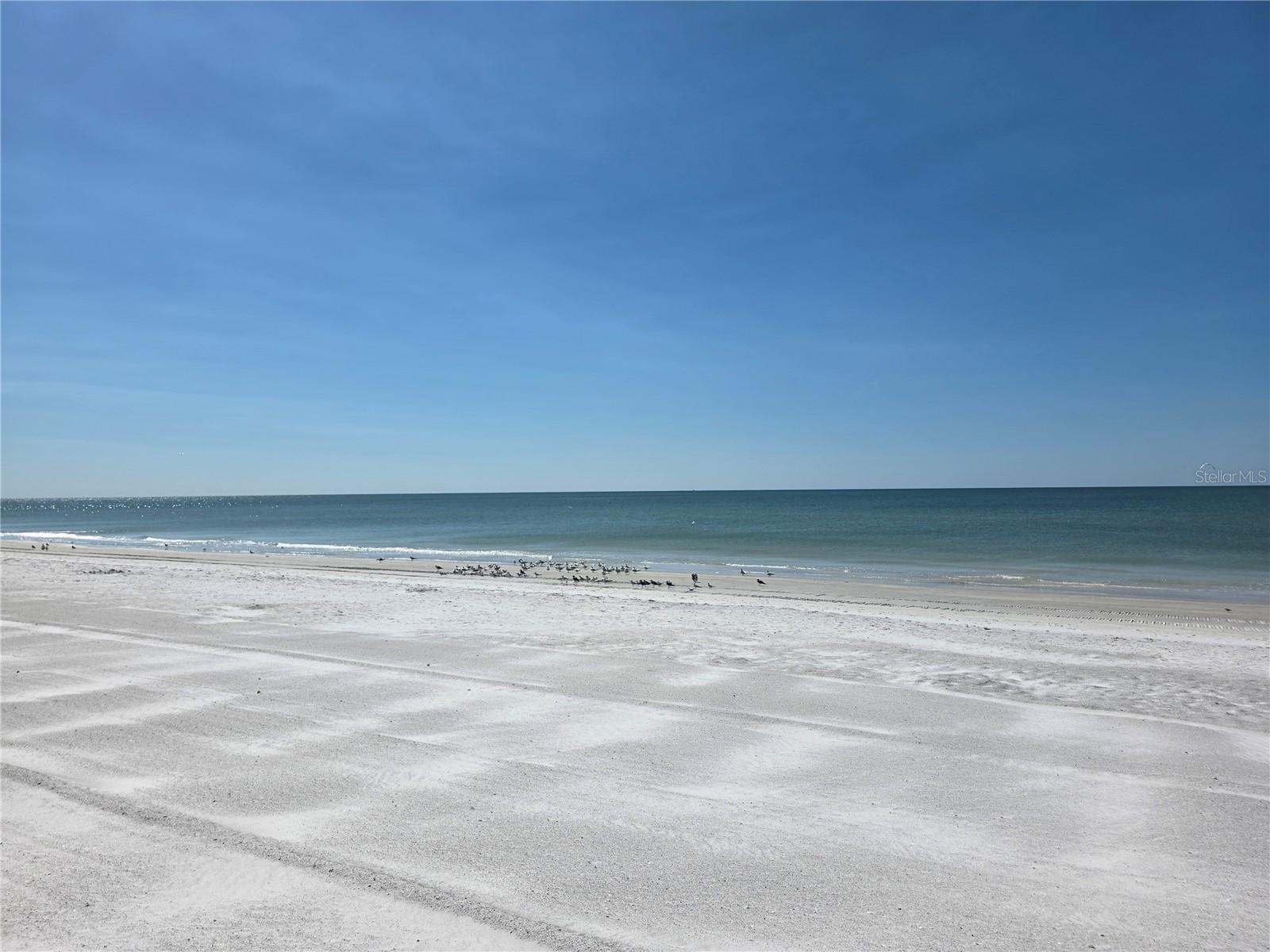 17580 Gulf Blvd #311 Property Photo 31