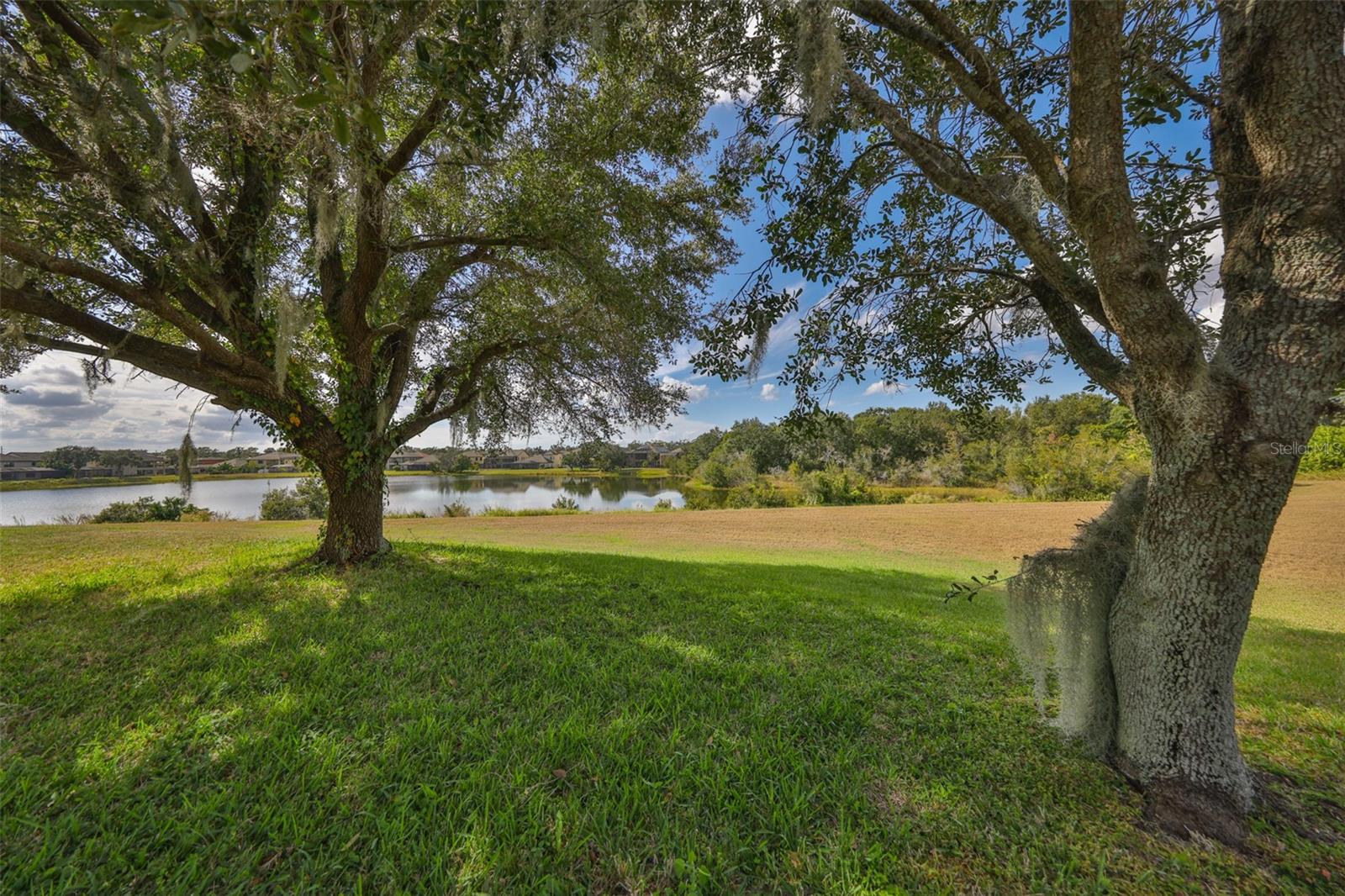 13914 Chalk Hill Pl Property Photo 46