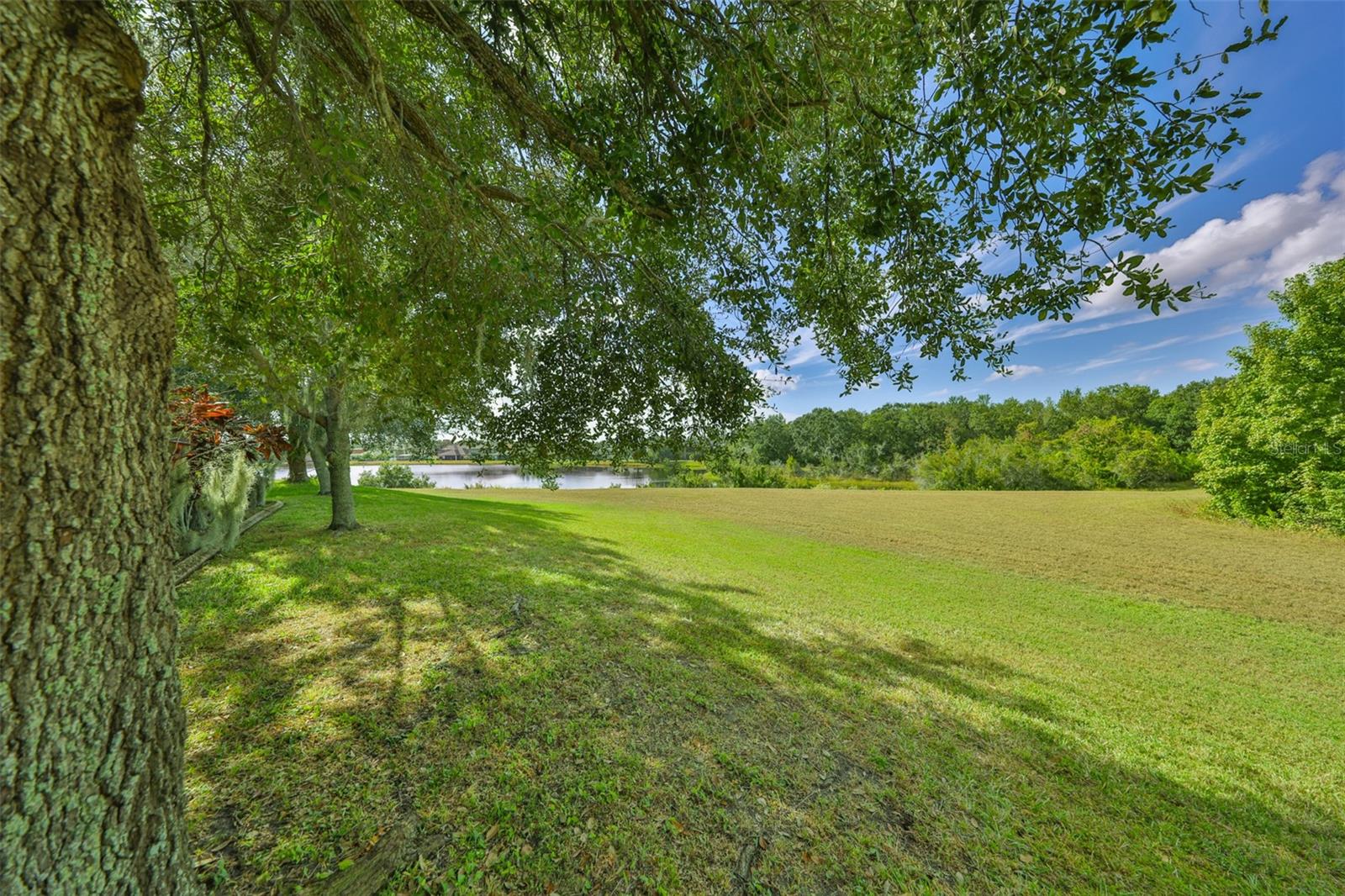 13914 Chalk Hill Pl Property Photo 47