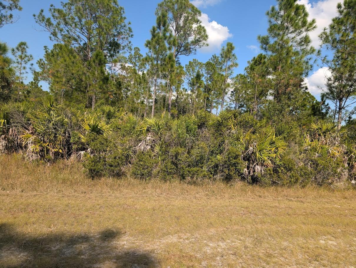Oleander Dr Property Photo 2