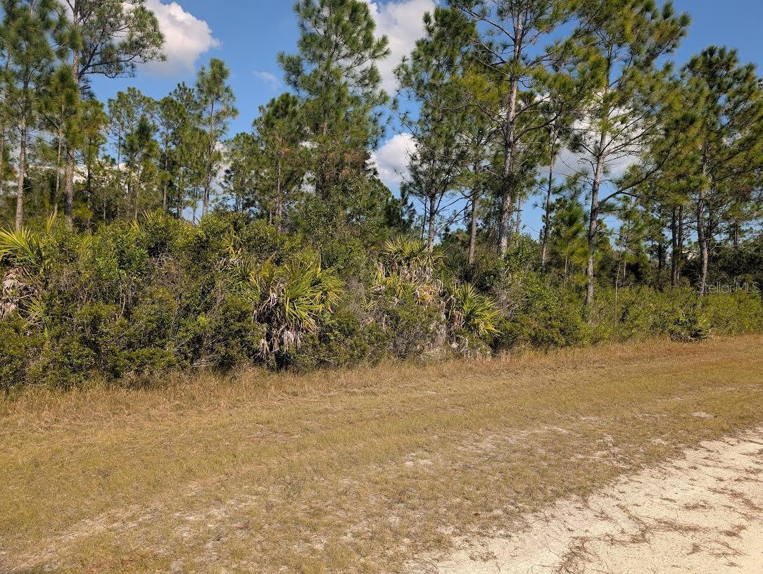 Oleander Dr Property Photo 6