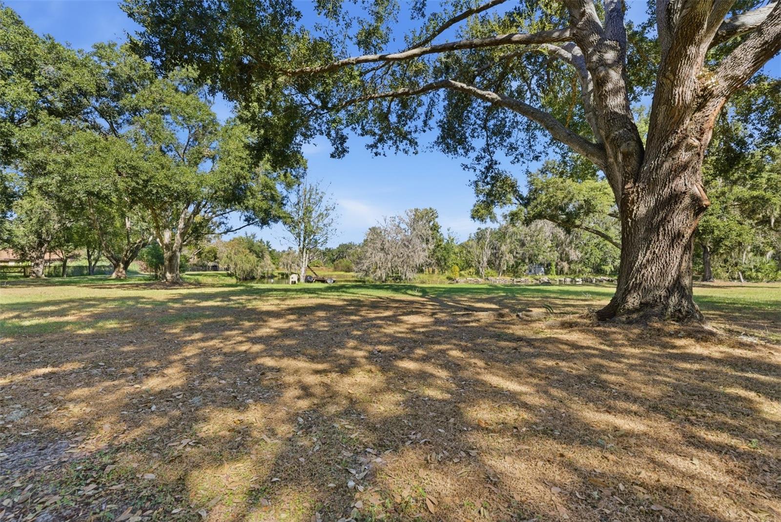 2506 Hawk Griffin Rd Property Photo 41