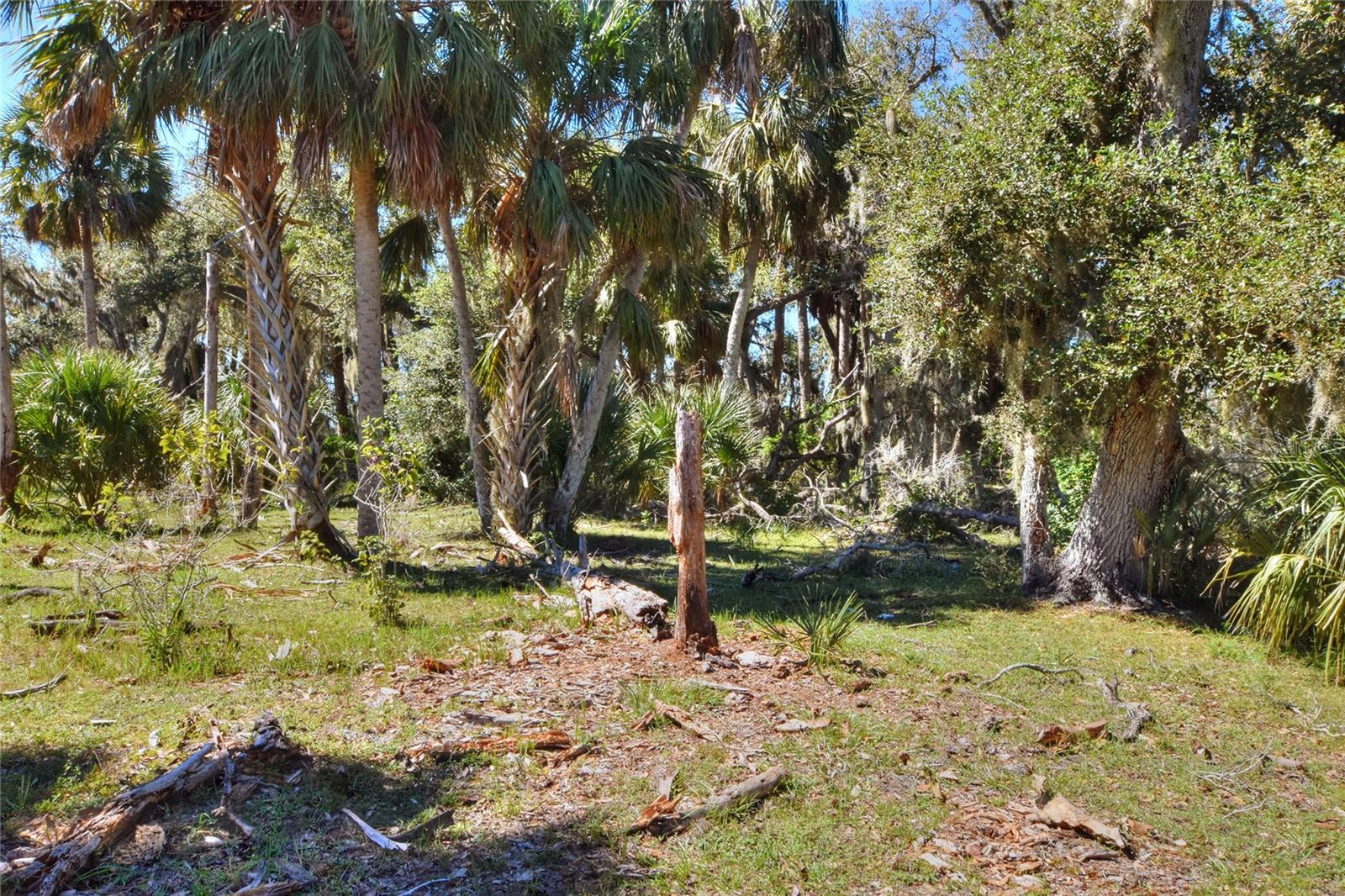 46891 Farabee Rd Property Photo 10